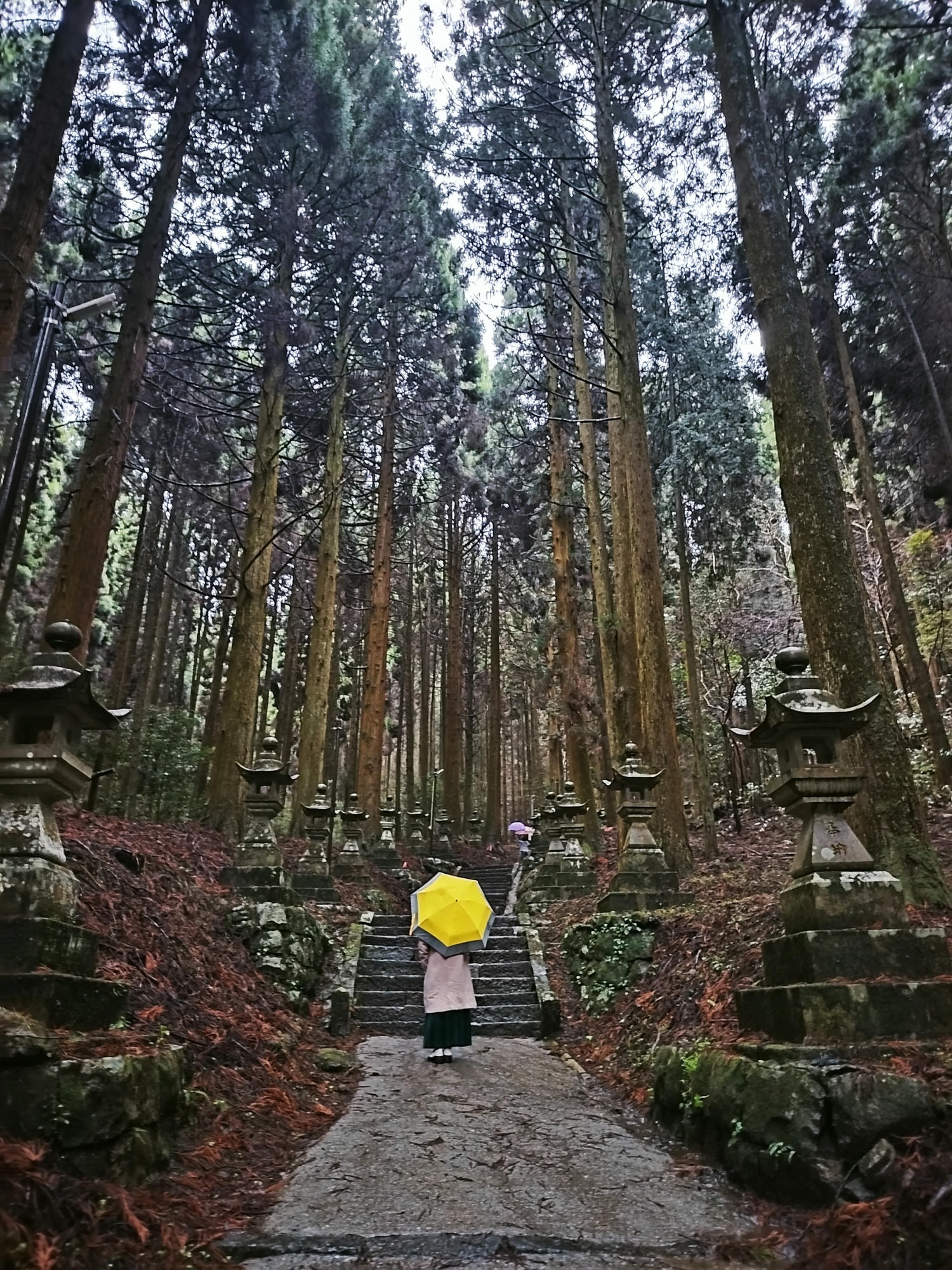 熊本自由行┃交通不難!大晴+大雨二種神秘「上色見熊野座神社」97座石燈籠置身異世界 南阿蘇高森站搭巴士計程車 - 第1張圖 熊本自由行┃交通不難!大晴+大雨二種神秘「上色見熊野座神社」97座石燈籠置身異世界 南阿蘇高森站搭巴士計程車