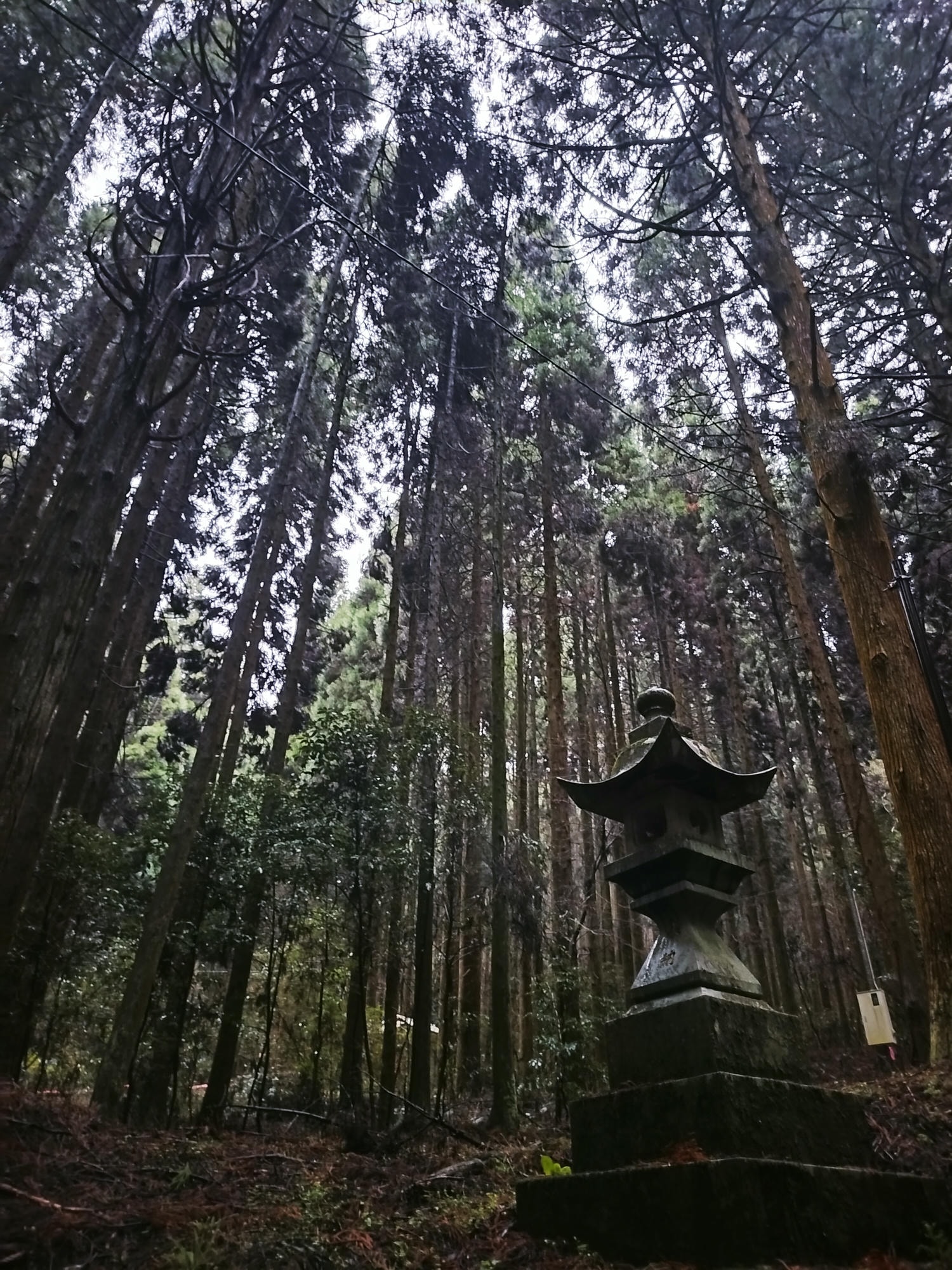 熊本自由行┃交通不難!大晴+大雨二種神秘「上色見熊野座神社」97座石燈籠置身異世界 南阿蘇高森站搭巴士計程車 - 第8張圖 熊本自由行┃交通不難!大晴+大雨二種神秘「上色見熊野座神社」97座石燈籠置身異世界 南阿蘇高森站搭巴士計程車