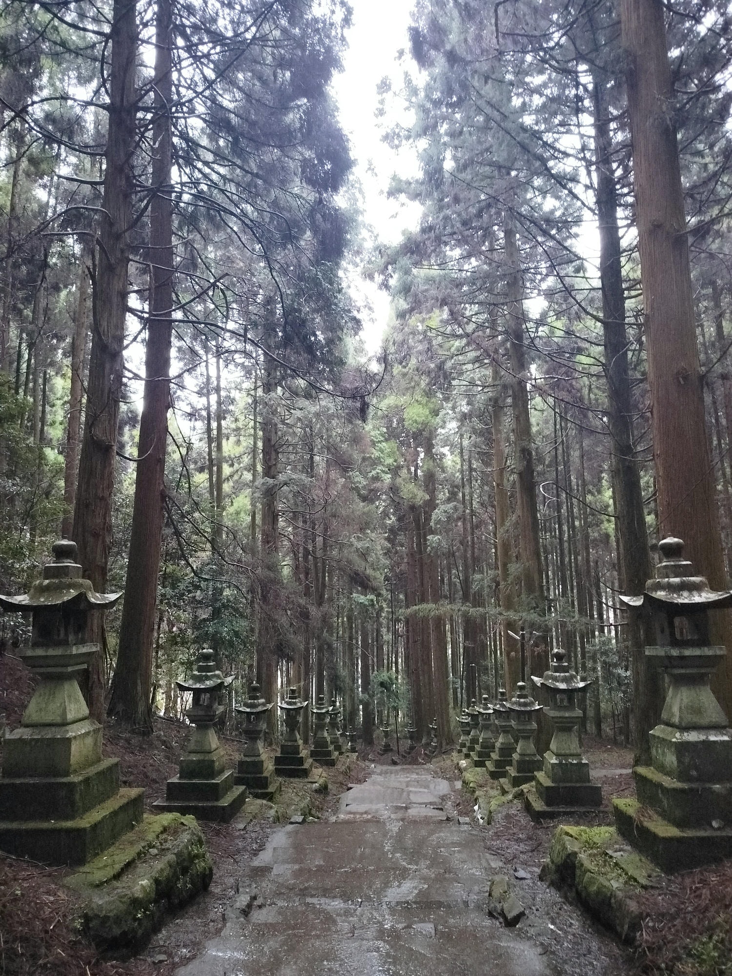 熊本自由行┃交通不難!大晴+大雨二種神秘「上色見熊野座神社」97座石燈籠置身異世界 南阿蘇高森站搭巴士計程車 - 第9張圖 熊本自由行┃交通不難!大晴+大雨二種神秘「上色見熊野座神社」97座石燈籠置身異世界 南阿蘇高森站搭巴士計程車