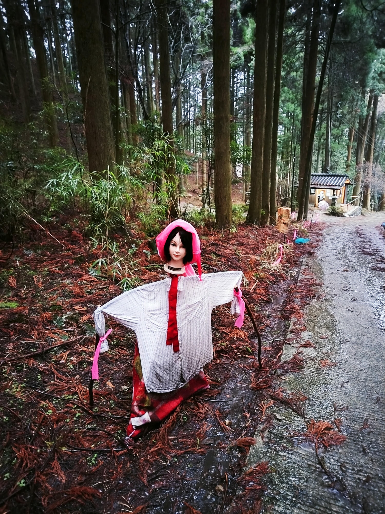 熊本自由行┃交通不難!大晴+大雨二種神秘「上色見熊野座神社」97座石燈籠置身異世界 南阿蘇高森站搭巴士計程車 - 第13張圖 熊本自由行┃交通不難!大晴+大雨二種神秘「上色見熊野座神社」97座石燈籠置身異世界 南阿蘇高森站搭巴士計程車