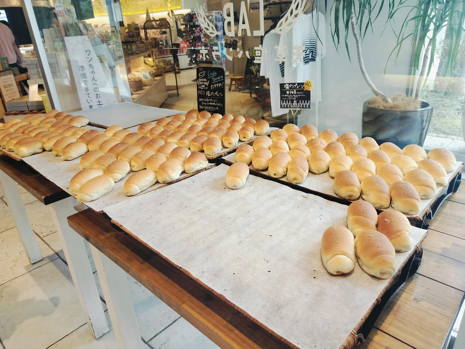 熊本自由行天草┃市區櫻町客運巴士or熊本站列車 野生海豚超可愛 海鮮蔵吃燒烤 L’isola購物 天草寶島線船三角站A列車 - 第30張圖 熊本自由行天草┃市區櫻町客運巴士or熊本站列車 野生海豚超可愛 海鮮蔵吃燒烤 L’isola購物 天草寶島線船三角站A列車