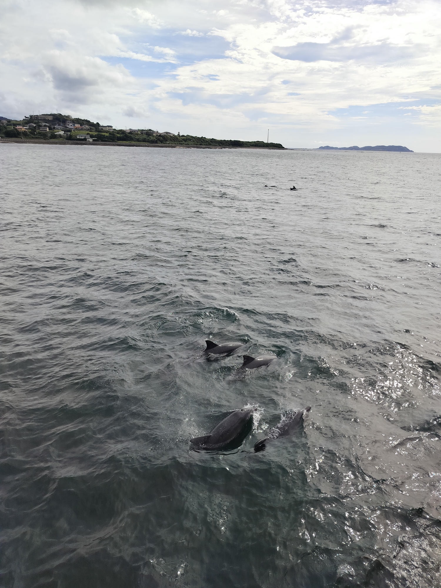 熊本自由行天草┃市區櫻町客運巴士or熊本站列車 野生海豚超可愛 海鮮蔵吃燒烤 L’isola購物 天草寶島線船三角站A列車 - 第24張圖 熊本自由行天草┃市區櫻町客運巴士or熊本站列車 野生海豚超可愛 海鮮蔵吃燒烤 L’isola購物 天草寶島線船三角站A列車