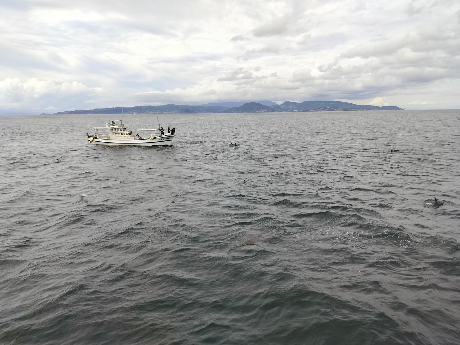 熊本自由行天草┃市區櫻町客運巴士or熊本站列車 野生海豚超可愛 海鮮蔵吃燒烤 L’isola購物 天草寶島線船三角站A列車 - 第27張圖 熊本自由行天草┃市區櫻町客運巴士or熊本站列車 野生海豚超可愛 海鮮蔵吃燒烤 L’isola購物 天草寶島線船三角站A列車