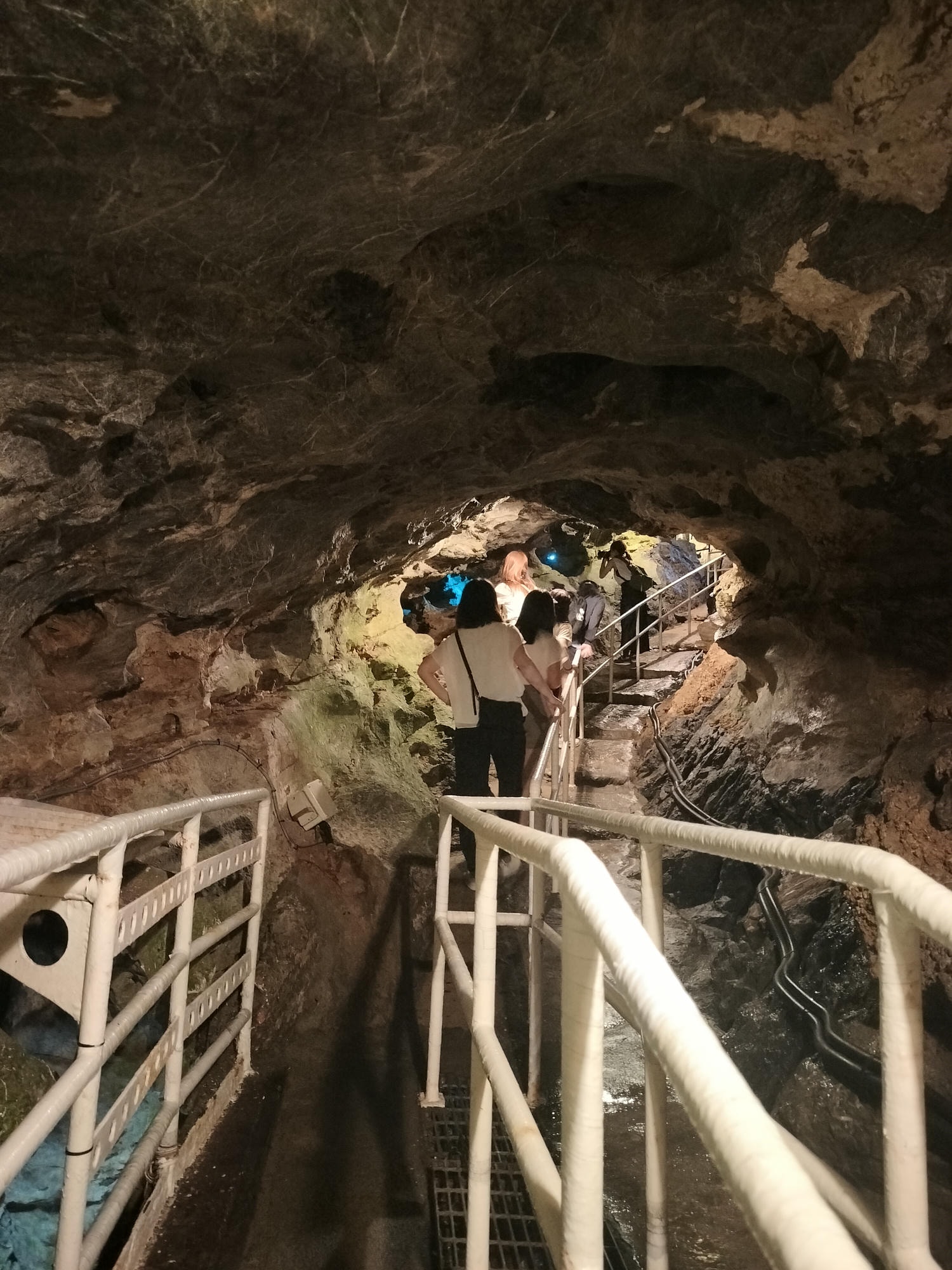 南熊本景點┃球磨燒酎博物館白岳傳承藏 八代港熊本熊公園 國寶青井阿蘇神社 球磨川遊船 鐘乳石球泉洞 肥薩橘子鐵道