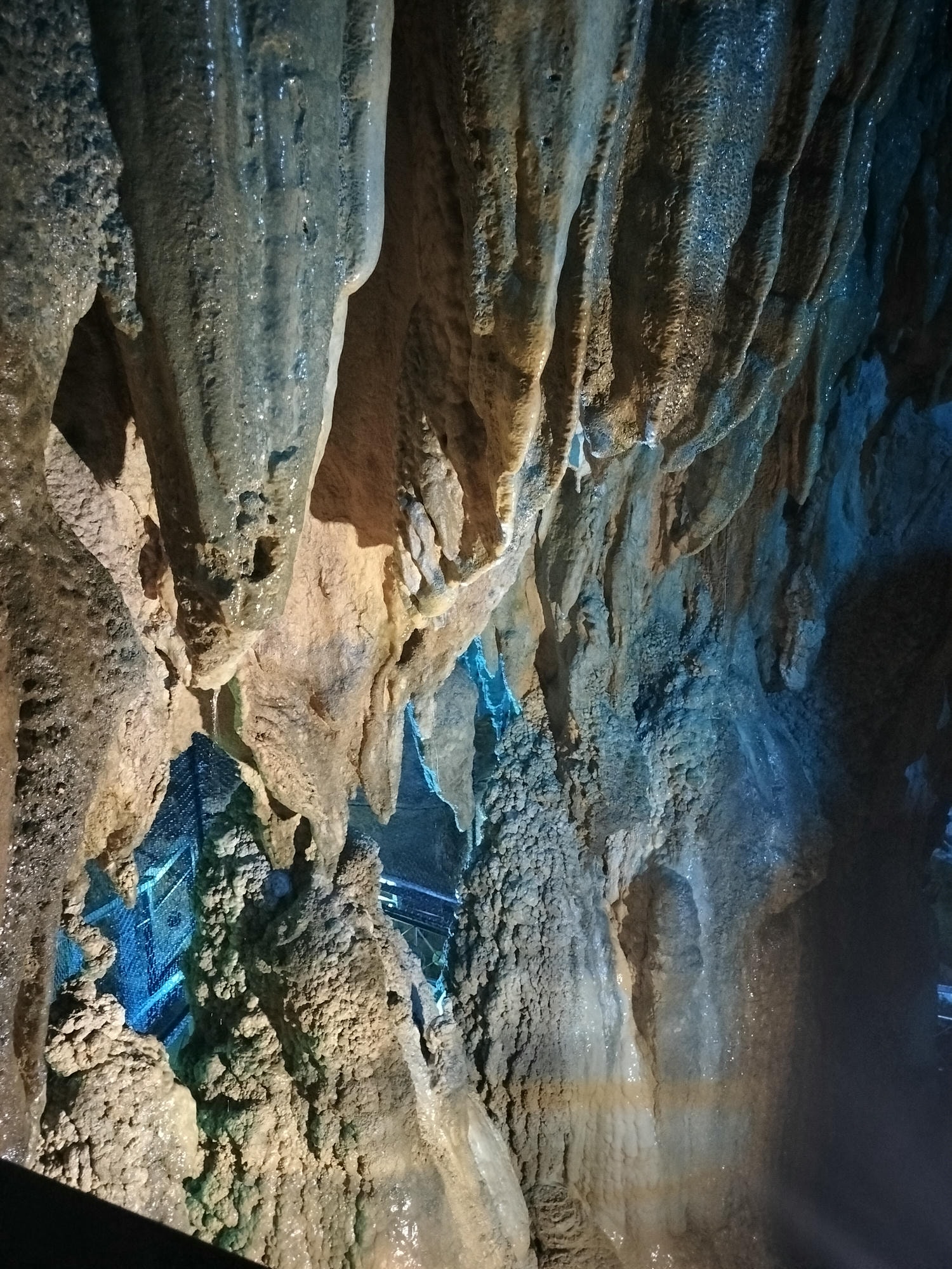 南熊本景點┃球磨燒酎博物館白岳傳承藏 八代港熊本熊公園 國寶青井阿蘇神社 球磨川遊船 鐘乳石球泉洞 肥薩橘子鐵道