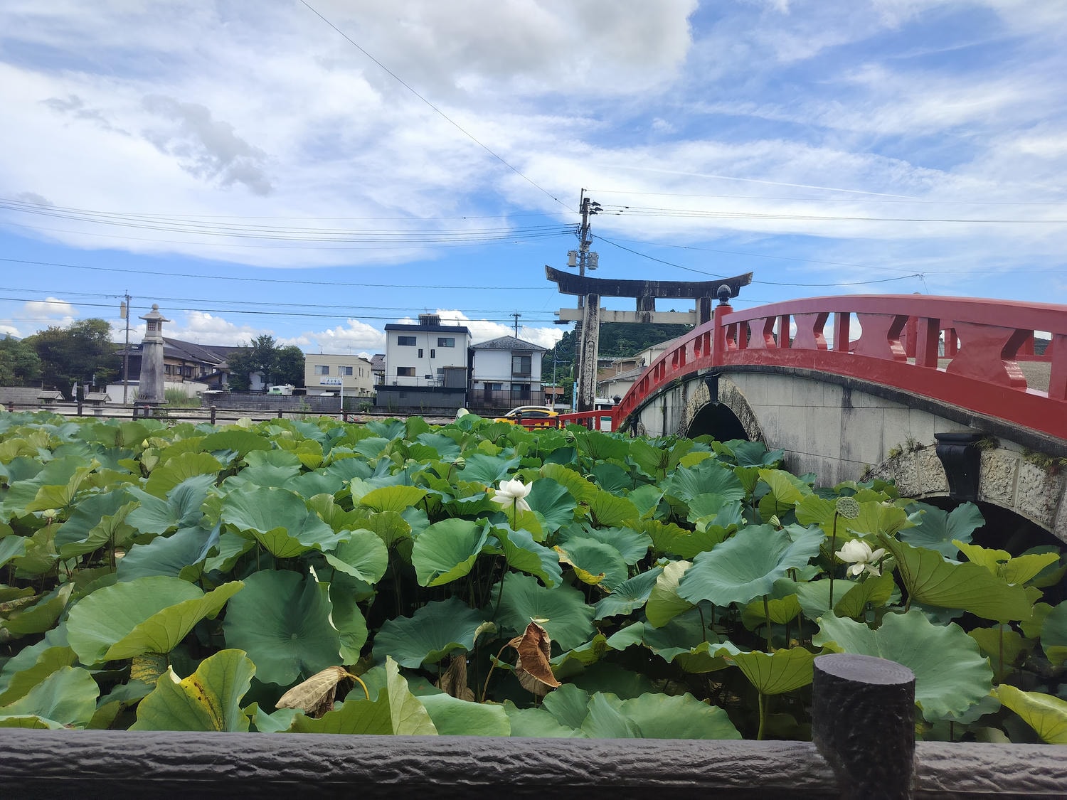 直飛熊本見證兩座國寶┃日本最南國寶建築物「青井阿蘇神社」+日本首座土木建築物國寶「通潤橋」飛瀑壯麗放水 - 第14張圖 直飛熊本見證兩座國寶┃日本最南國寶建築物「青井阿蘇神社」+日本首座土木建築物國寶「通潤橋」飛瀑壯麗放水