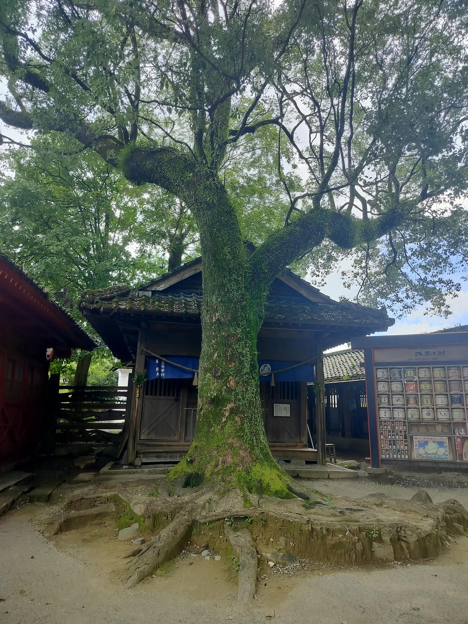直飛熊本見證兩座國寶┃日本最南國寶建築物「青井阿蘇神社」+日本首座土木建築物國寶「通潤橋」飛瀑壯麗放水 - 第17張圖 直飛熊本見證兩座國寶┃日本最南國寶建築物「青井阿蘇神社」+日本首座土木建築物國寶「通潤橋」飛瀑壯麗放水