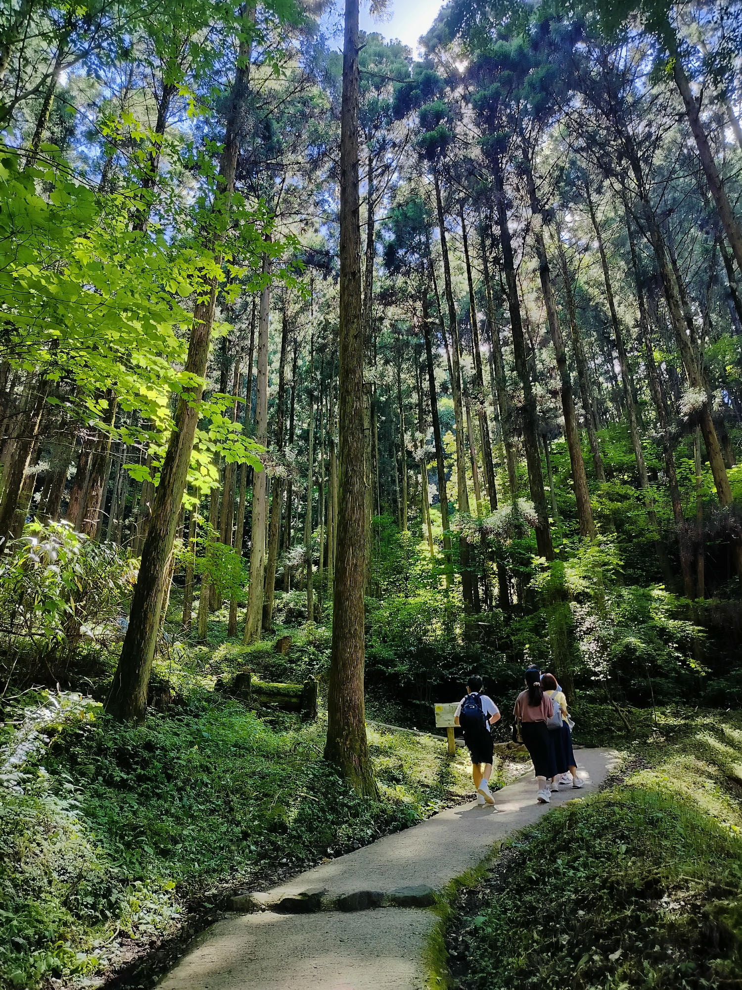 熊本自由行┃交通不難!大晴+大雨二種神秘「上色見熊野座神社」97座石燈籠置身異世界 南阿蘇高森站搭巴士計程車 - 第23張圖 熊本自由行┃交通不難!大晴+大雨二種神秘「上色見熊野座神社」97座石燈籠置身異世界 南阿蘇高森站搭巴士計程車