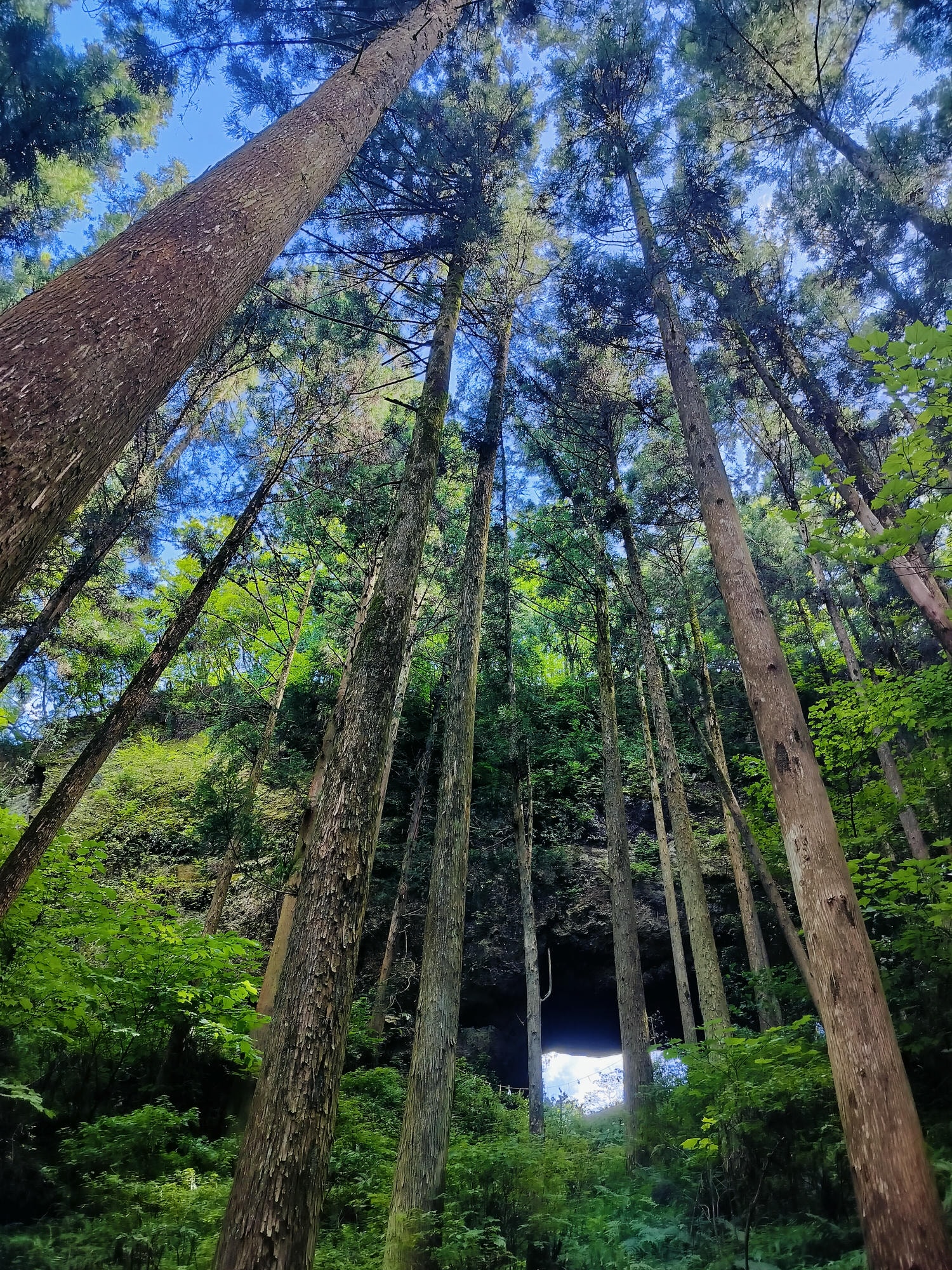 熊本自由行┃交通不難!大晴+大雨二種神秘「上色見熊野座神社」97座石燈籠置身異世界 南阿蘇高森站搭巴士計程車 - 第24張圖 熊本自由行┃交通不難!大晴+大雨二種神秘「上色見熊野座神社」97座石燈籠置身異世界 南阿蘇高森站搭巴士計程車