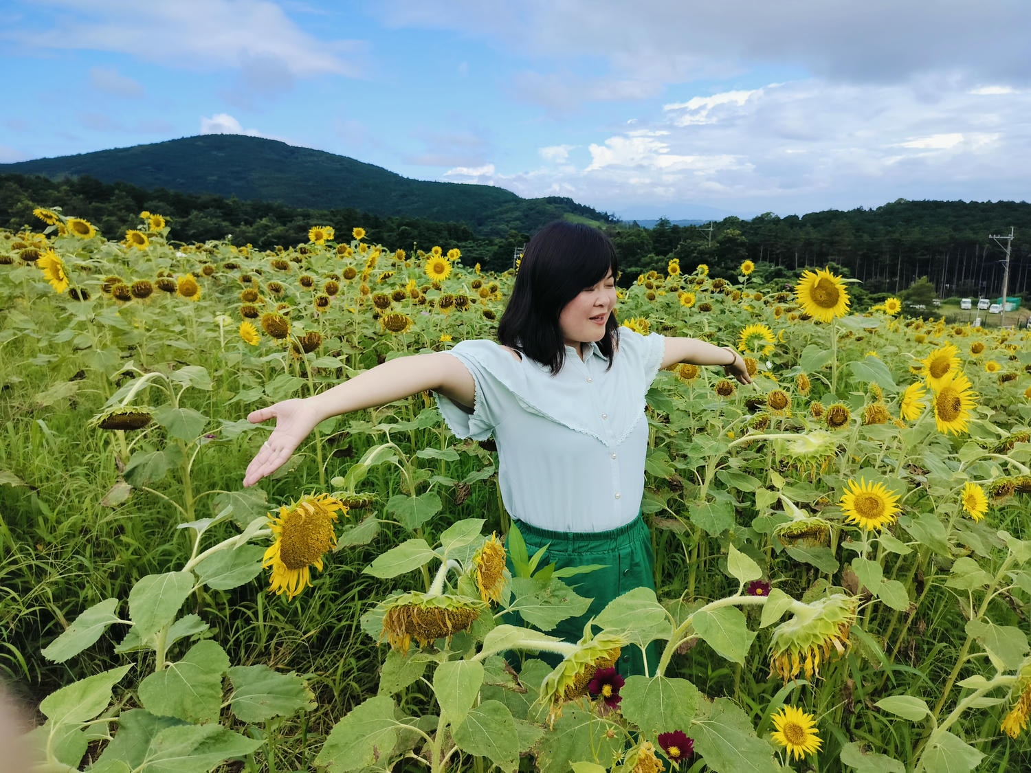 熊本景點┃草帽海賊團10座銅像捕獲 熊本自由行海賊迷 高森佛朗基縣廳魯夫 萌之里娜美 索隆喬巴香吉士 布魯克騙人布