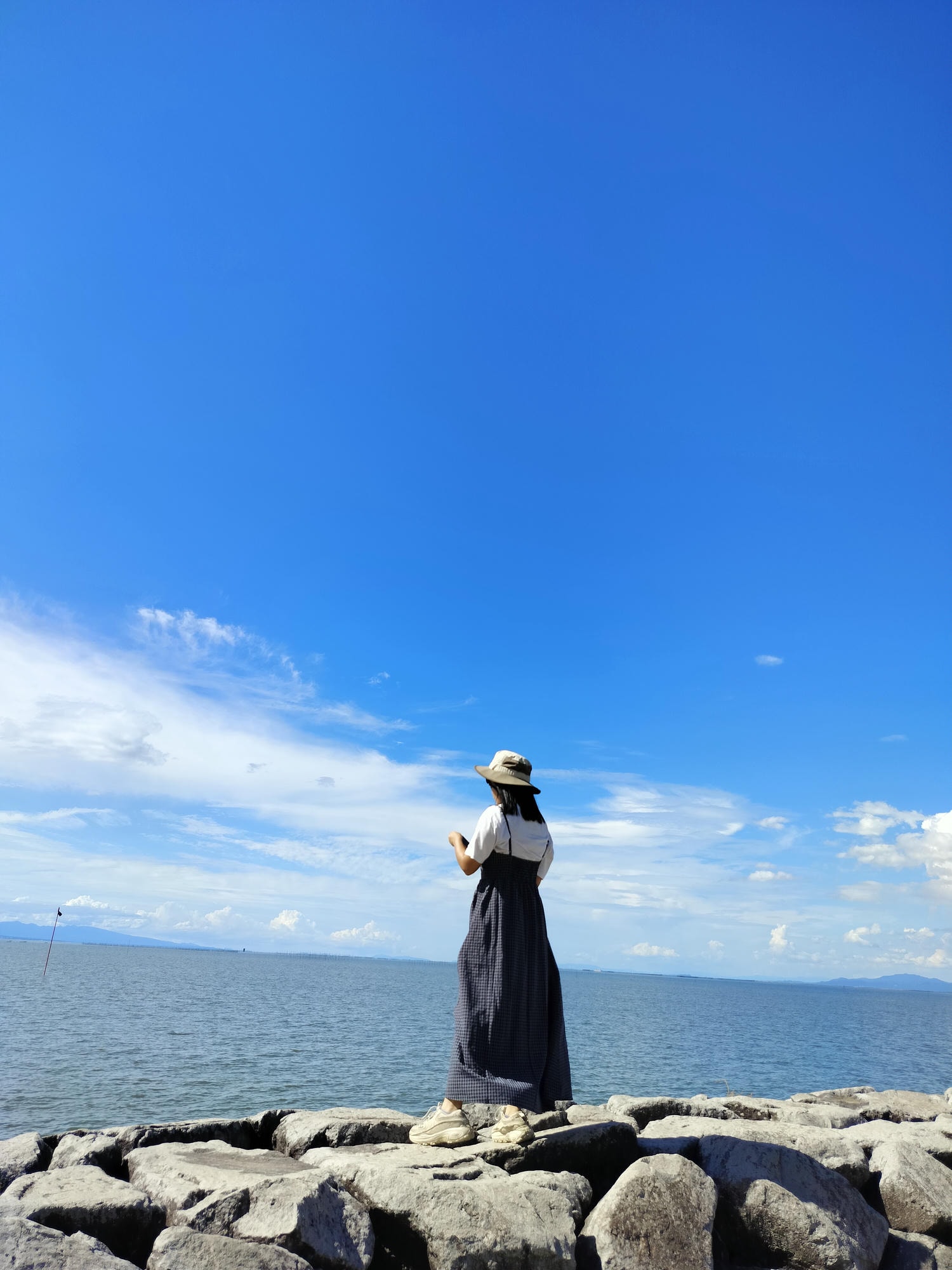 熊本景點┃草帽海賊團10座銅像捕獲 熊本自由行海賊迷 高森佛朗基縣廳魯夫 萌之里娜美 索隆喬巴香吉士 布魯克騙人布