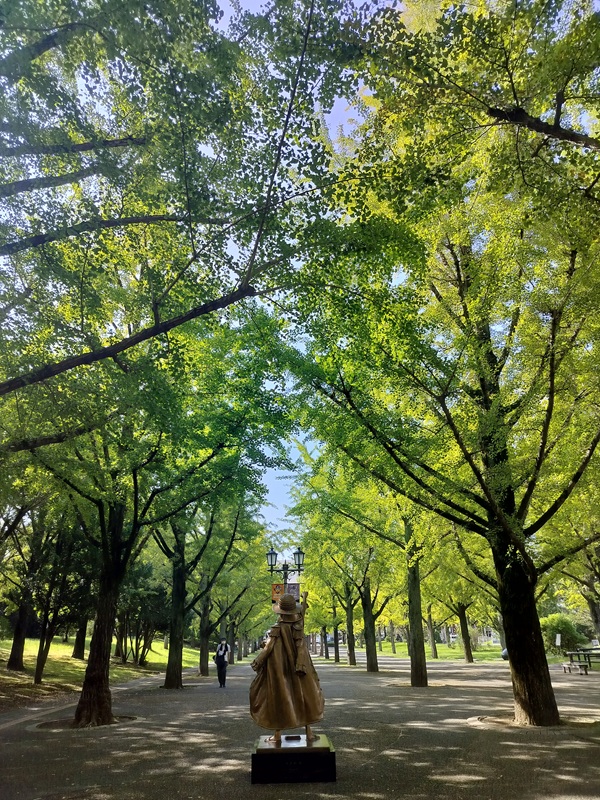 熊本景點┃草帽海賊團10座銅像捕獲 熊本自由行海賊迷 高森佛朗基縣廳魯夫 萌之里娜美 索隆喬巴香吉士 布魯克騙人布