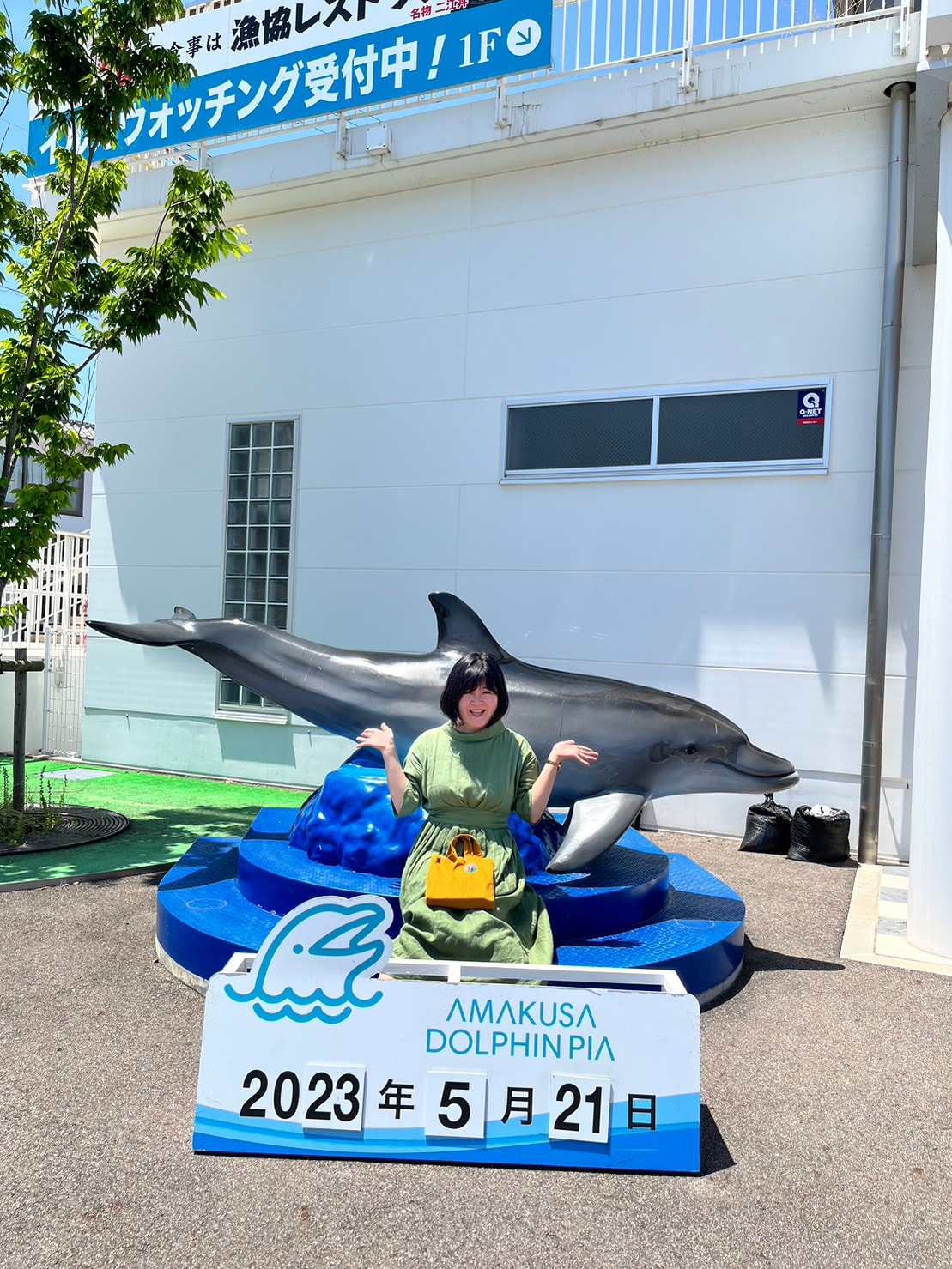 熊本天草┃95%遇見野生海豚跳的好高「天草海豚中心」200多頭超感動!「天草海鮮藏」吃最新鮮的海產 天草自駕 熊本直飛