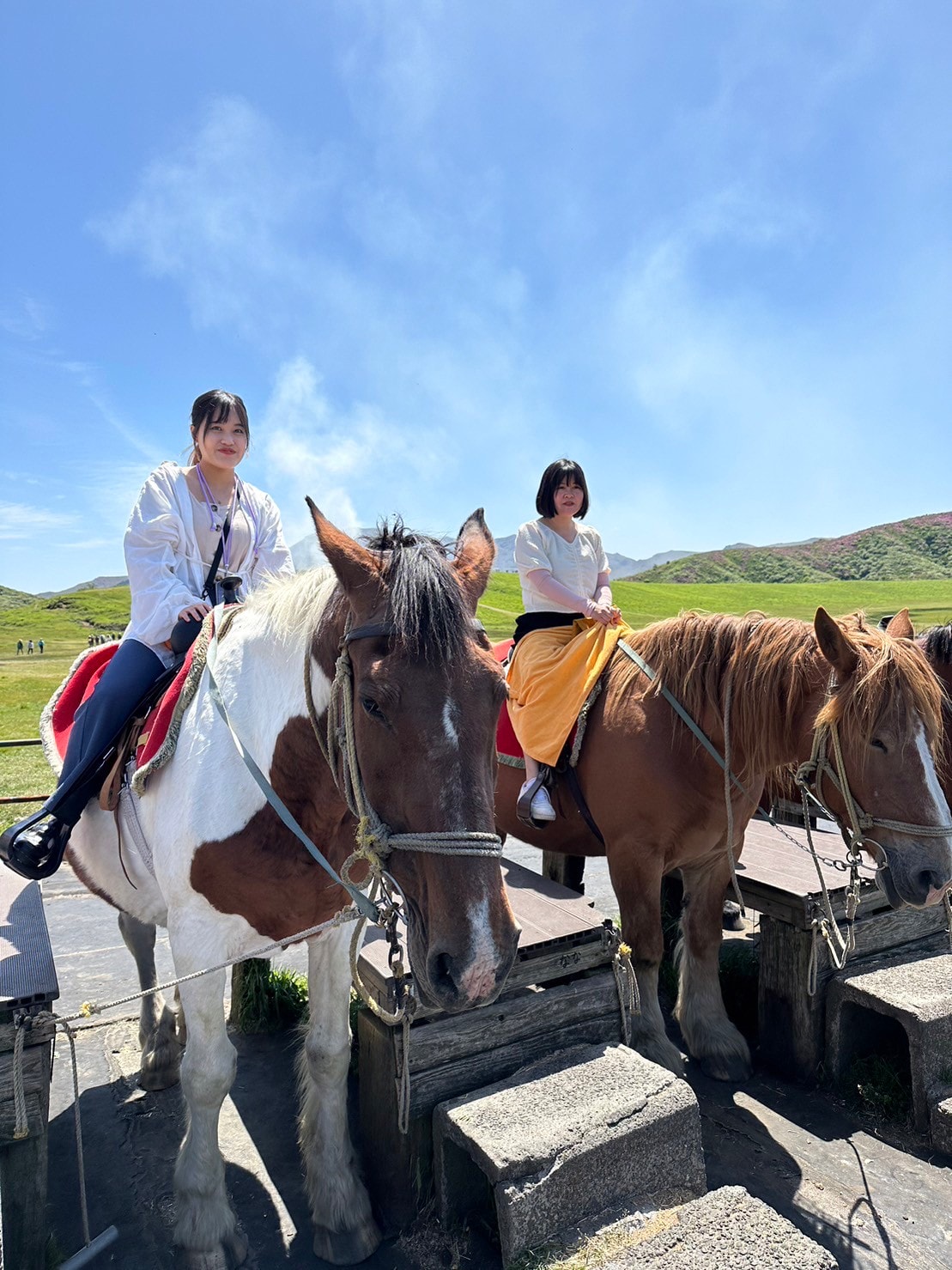 熊本景點阿蘇自由行┃交通整理!近看震撼阿蘇中岳火山口噴煙 騎馬欣賞阿蘇草千里濱草原 douce Nucca赤牛漢堡排 - 第8張圖 熊本景點阿蘇自由行┃交通整理!近看震撼阿蘇中岳火山口噴煙 騎馬欣賞阿蘇草千里濱草原 douce Nucca赤牛漢堡排