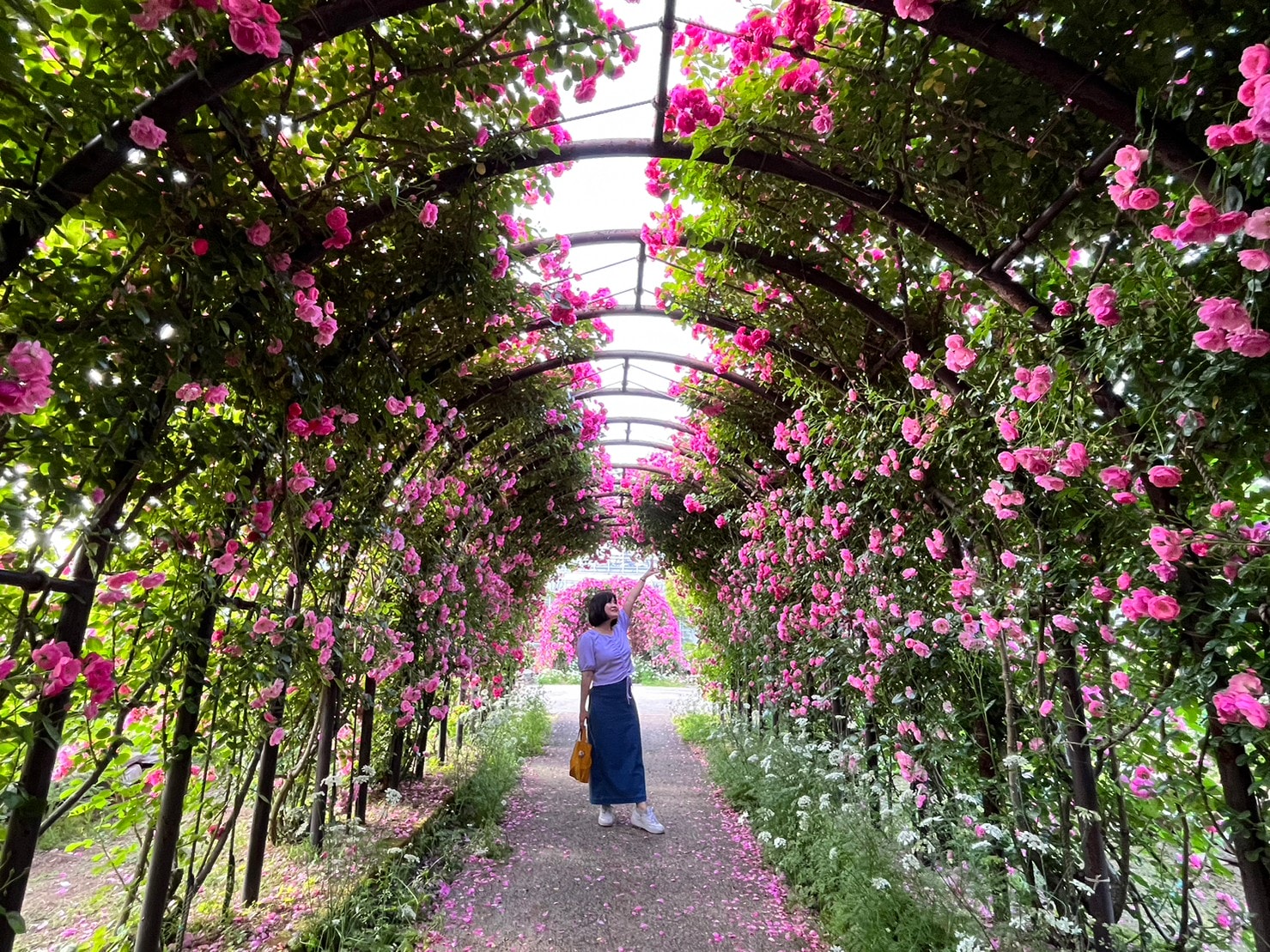 熊本阿蘇景點┃得獎阿蘇鮮奶「阿部牧場」觀光工廠奶製品伴手禮走5分「阿蘇廣場飯店」(Aso Plaza Hotel) 免費接駁車 - 第9張圖 熊本阿蘇景點┃得獎阿蘇鮮奶「阿部牧場」觀光工廠奶製品伴手禮走5分「阿蘇廣場飯店」(Aso Plaza Hotel) 免費接駁車