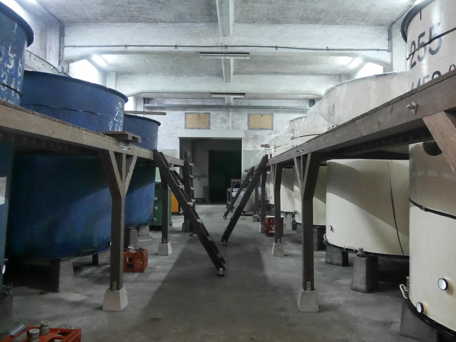 熊本景點山都町┃最古老建業250年清酒釀酒廠「通潤酒造」見學 一睹日本首座土木建築物國寶「通潤橋」壯麗放水