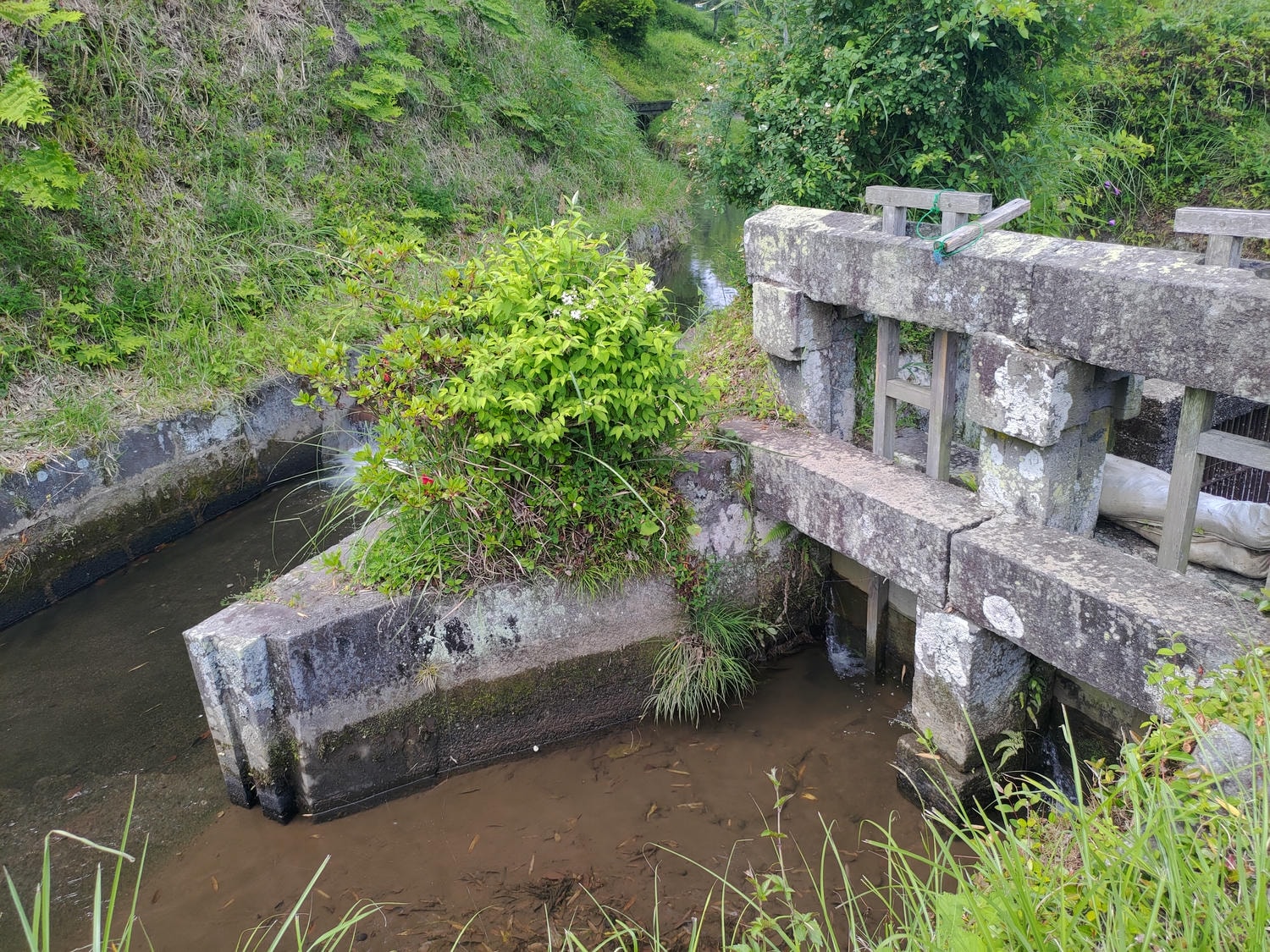 熊本景點山都町┃最古老建業250年清酒釀酒廠「通潤酒造」見學 一睹日本首座土木建築物國寶「通潤橋」壯麗放水