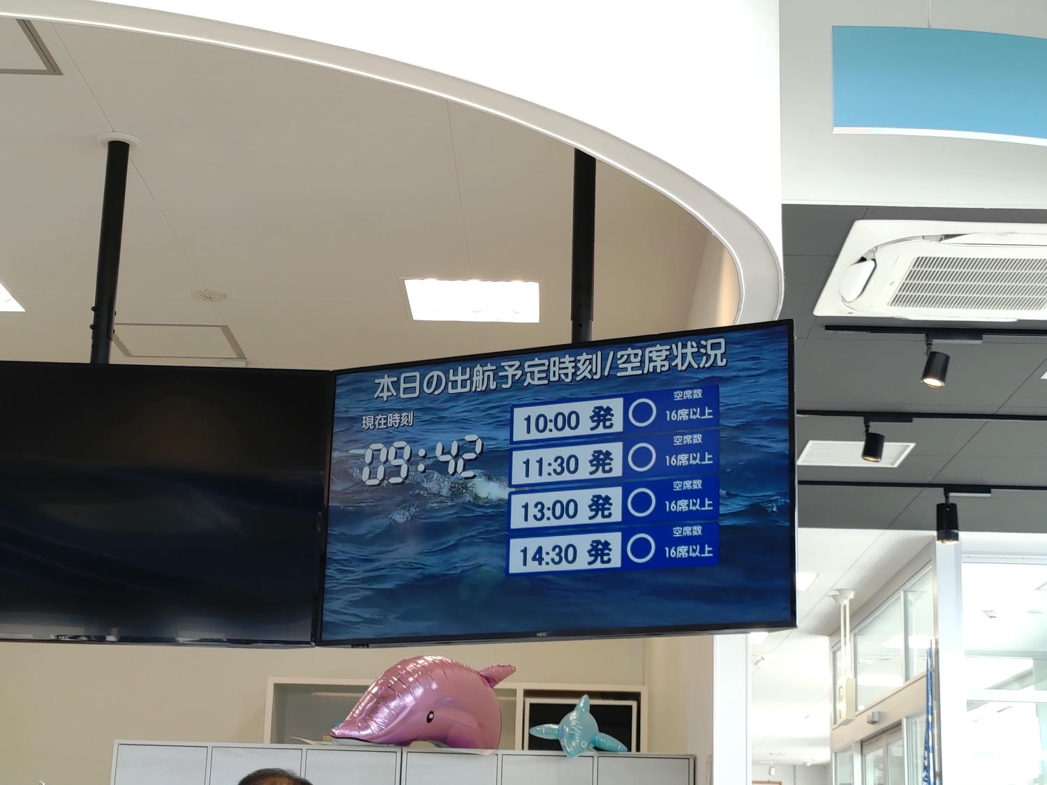 熊本天草┃95%遇見野生海豚跳的好高「天草海豚中心」200多頭超感動!「天草海鮮藏」吃最新鮮的海產 天草自駕 熊本直飛