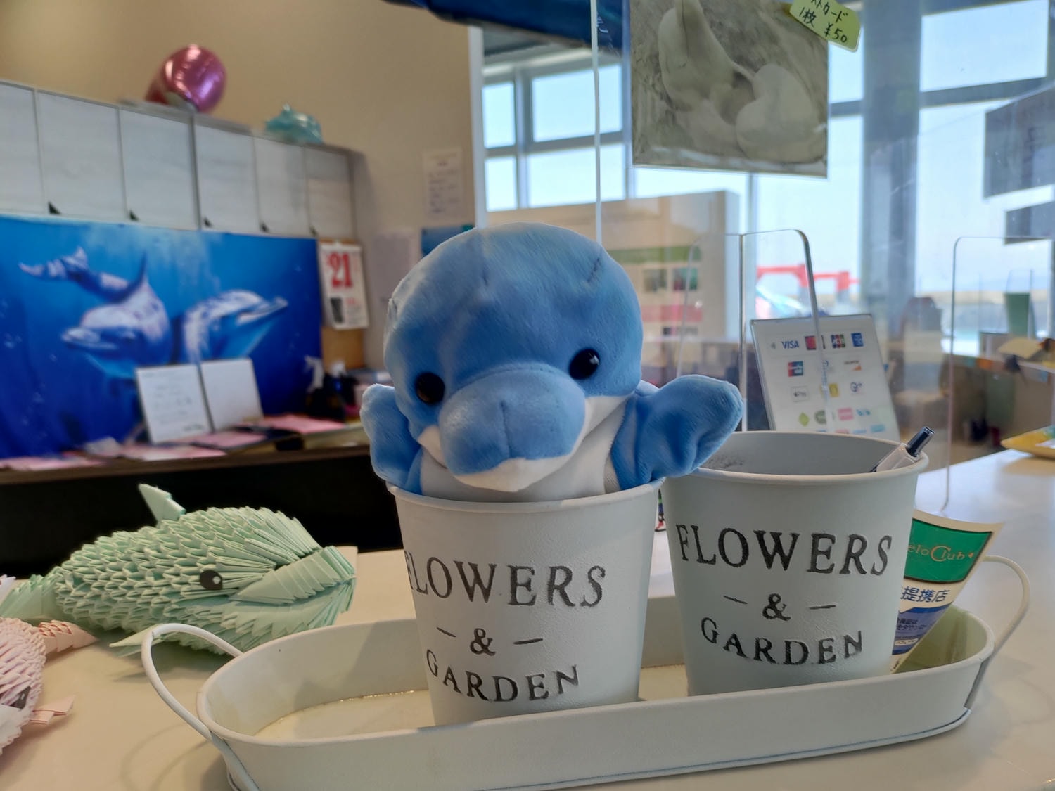 熊本自由行天草┃市區櫻町客運巴士or熊本站列車 野生海豚超可愛 海鮮蔵吃燒烤 L’isola購物 天草寶島線船三角站A列車 - 第48張圖 熊本自由行天草┃市區櫻町客運巴士or熊本站列車 野生海豚超可愛 海鮮蔵吃燒烤 L’isola購物 天草寶島線船三角站A列車