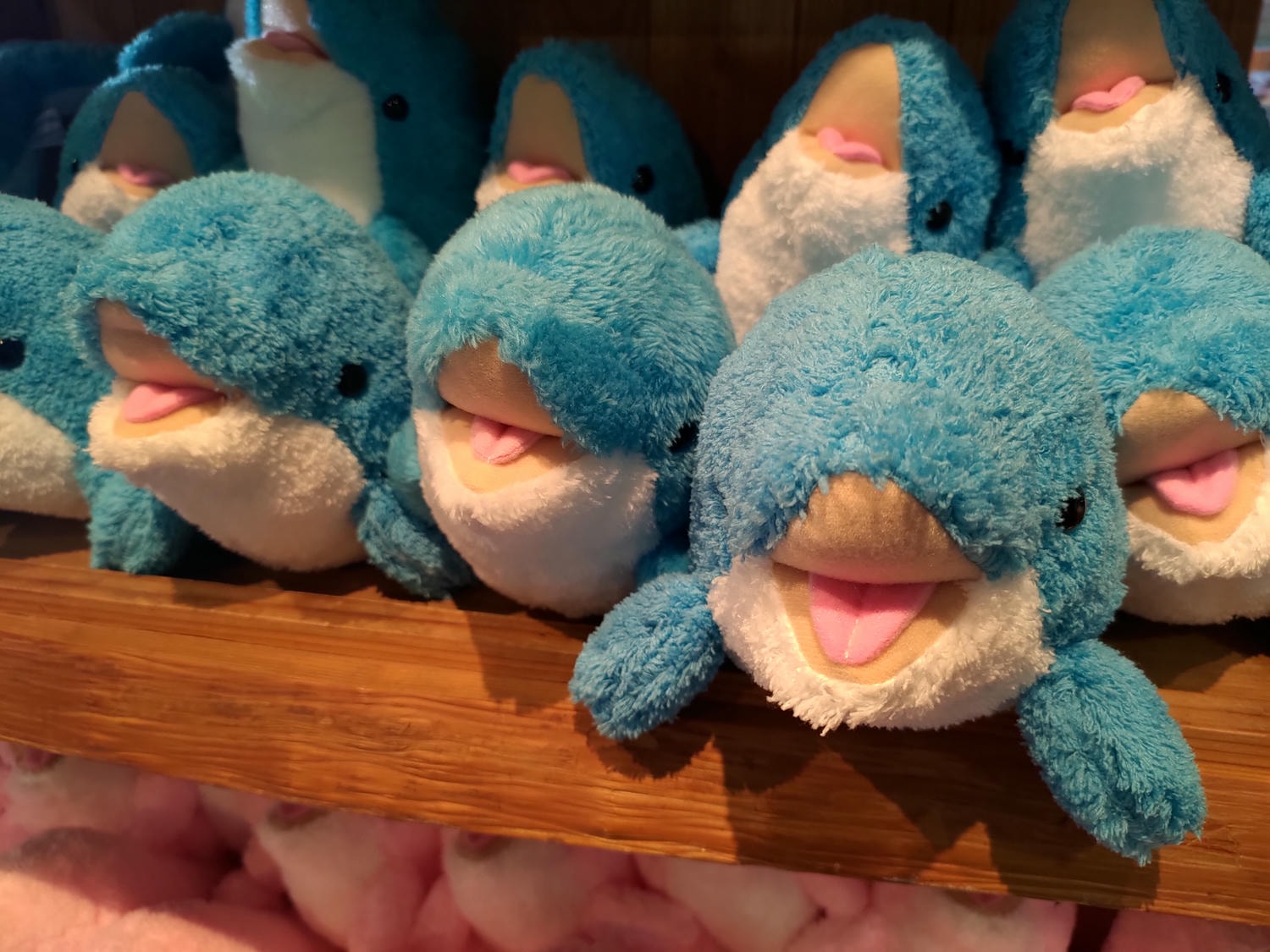 熊本天草┃95%遇見野生海豚跳的好高「天草海豚中心」200多頭超感動!「天草海鮮藏」吃最新鮮的海產 天草自駕 熊本直飛