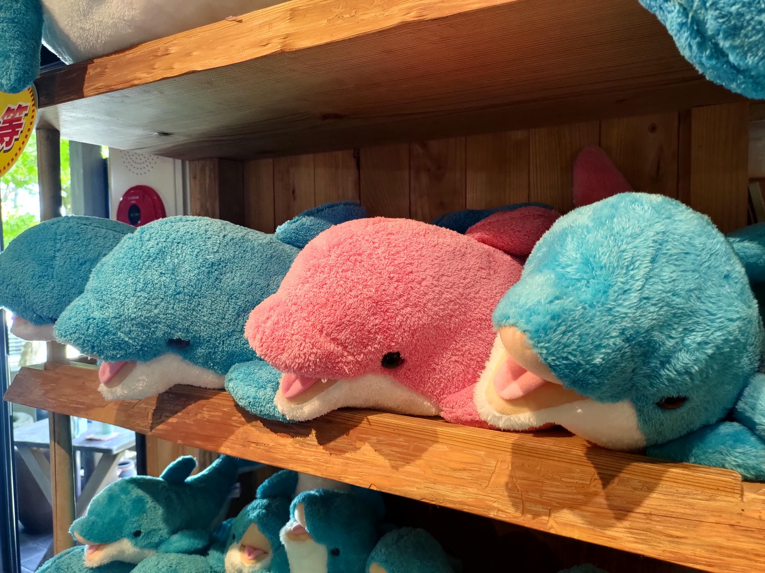 熊本自由行天草┃市區櫻町客運巴士or熊本站列車 野生海豚超可愛 海鮮蔵吃燒烤 L’isola購物 天草寶島線船三角站A列車 - 第60張圖 熊本自由行天草┃市區櫻町客運巴士or熊本站列車 野生海豚超可愛 海鮮蔵吃燒烤 L’isola購物 天草寶島線船三角站A列車