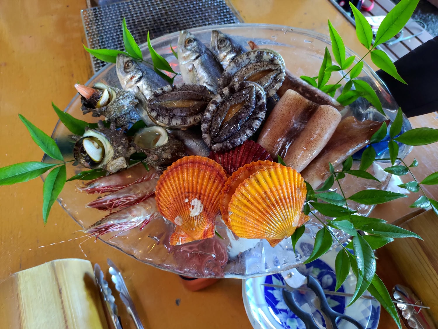 熊本天草┃95%遇見野生海豚跳的好高「天草海豚中心」200多頭超感動!「天草海鮮藏」吃最新鮮的海產 天草自駕 熊本直飛