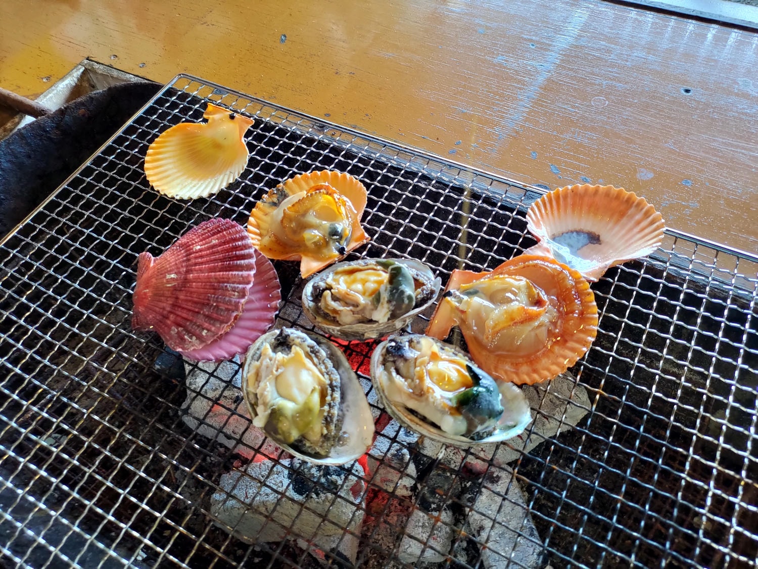 熊本自由行天草┃市區櫻町客運巴士or熊本站列車 野生海豚超可愛 海鮮蔵吃燒烤 L’isola購物 天草寶島線船三角站A列車 - 第54張圖 熊本自由行天草┃市區櫻町客運巴士or熊本站列車 野生海豚超可愛 海鮮蔵吃燒烤 L’isola購物 天草寶島線船三角站A列車