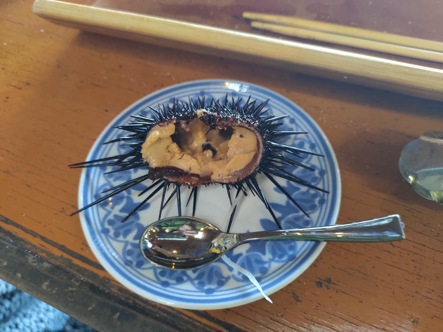 熊本天草┃95%遇見野生海豚跳的好高「天草海豚中心」200多頭超感動!「天草海鮮藏」吃最新鮮的海產 天草自駕 熊本直飛