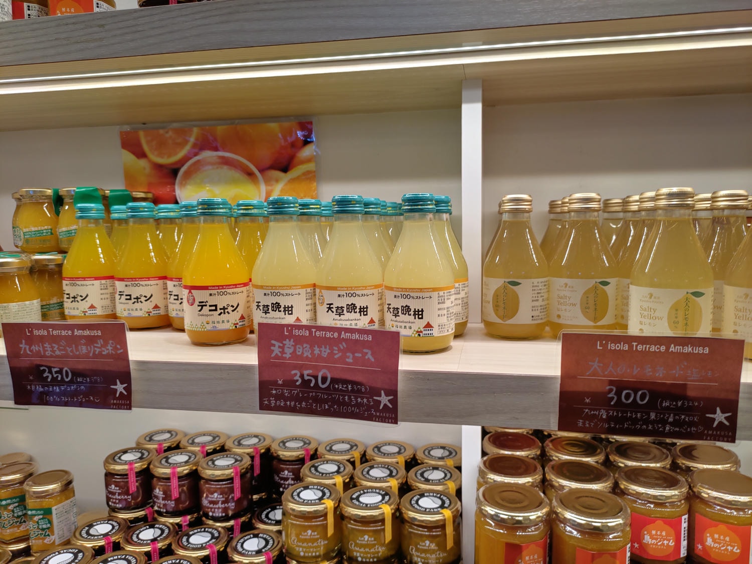 熊本自由行天草┃市區櫻町客運巴士or熊本站列車 野生海豚超可愛 海鮮蔵吃燒烤 L’isola購物 天草寶島線船三角站A列車 - 第69張圖 熊本自由行天草┃市區櫻町客運巴士or熊本站列車 野生海豚超可愛 海鮮蔵吃燒烤 L’isola購物 天草寶島線船三角站A列車