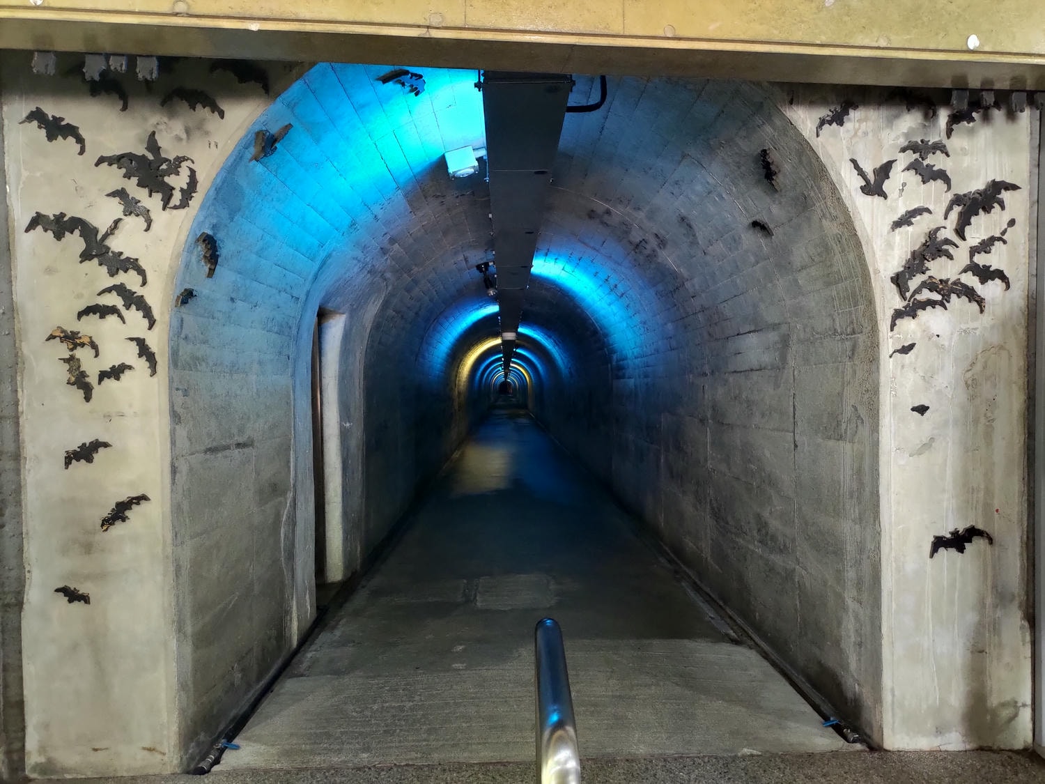 熊本南部景點┃3億年自然神秘!日本三大鐘乳石球磨村「球泉洞」很有看頭好走不怕!複合式伴手禮書店展望台 - 第7張圖 熊本南部景點┃3億年自然神秘!日本三大鐘乳石球磨村「球泉洞」很有看頭好走不怕!複合式伴手禮書店展望台