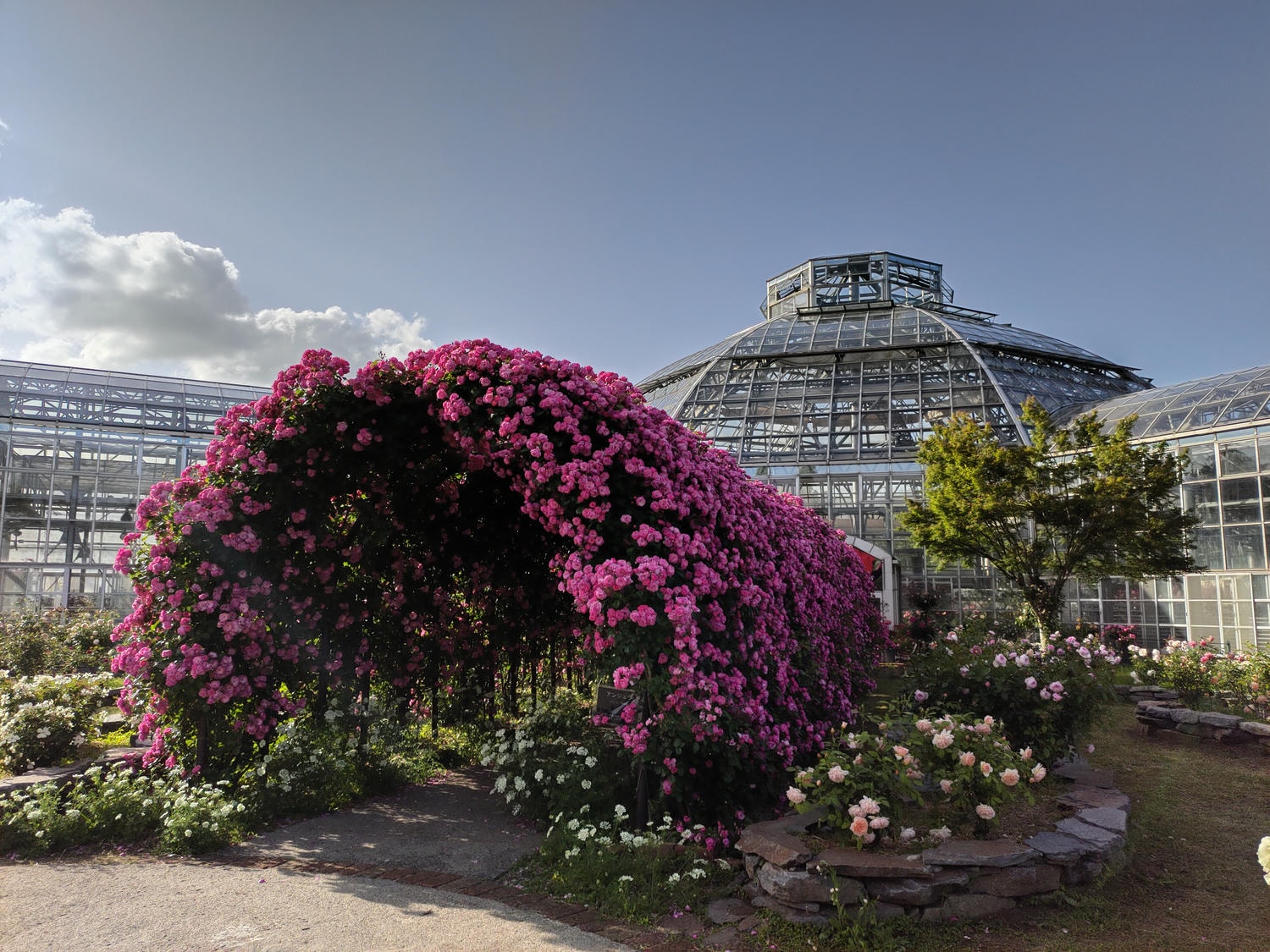 熊本阿蘇景點┃得獎阿蘇鮮奶「阿部牧場」觀光工廠奶製品伴手禮走5分「阿蘇廣場飯店」(Aso Plaza Hotel) 免費接駁車 - 第7張圖 熊本阿蘇景點┃得獎阿蘇鮮奶「阿部牧場」觀光工廠奶製品伴手禮走5分「阿蘇廣場飯店」(Aso Plaza Hotel) 免費接駁車