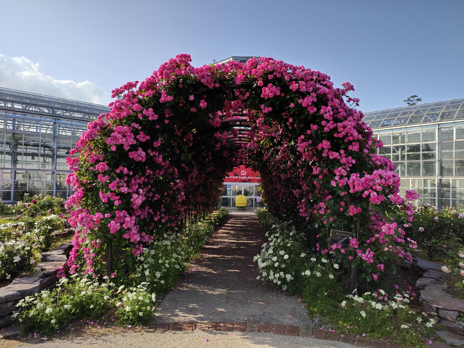 熊本阿蘇景點┃得獎阿蘇鮮奶「阿部牧場」觀光工廠奶製品伴手禮走5分「阿蘇廣場飯店」(Aso Plaza Hotel) 免費接駁車 - 第8張圖 熊本阿蘇景點┃得獎阿蘇鮮奶「阿部牧場」觀光工廠奶製品伴手禮走5分「阿蘇廣場飯店」(Aso Plaza Hotel) 免費接駁車