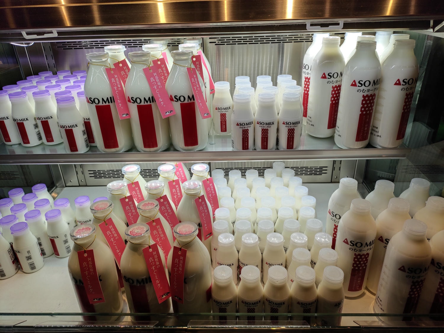 熊本阿蘇景點┃得獎阿蘇鮮奶「阿部牧場」觀光工廠奶製品伴手禮走5分「阿蘇廣場飯店」(Aso Plaza Hotel) 免費接駁車 - 第18張圖 熊本阿蘇景點┃得獎阿蘇鮮奶「阿部牧場」觀光工廠奶製品伴手禮走5分「阿蘇廣場飯店」(Aso Plaza Hotel) 免費接駁車