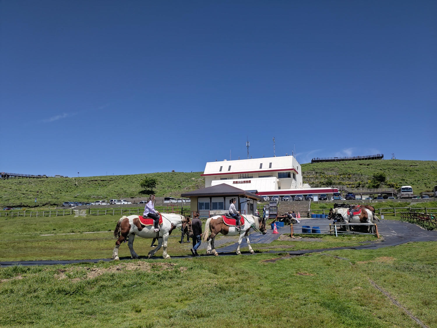 熊本景點阿蘇自由行┃交通整理!近看震撼阿蘇中岳火山口噴煙 騎馬欣賞阿蘇草千里濱草原 douce Nucca赤牛漢堡排 - 第10張圖 熊本景點阿蘇自由行┃交通整理!近看震撼阿蘇中岳火山口噴煙 騎馬欣賞阿蘇草千里濱草原 douce Nucca赤牛漢堡排