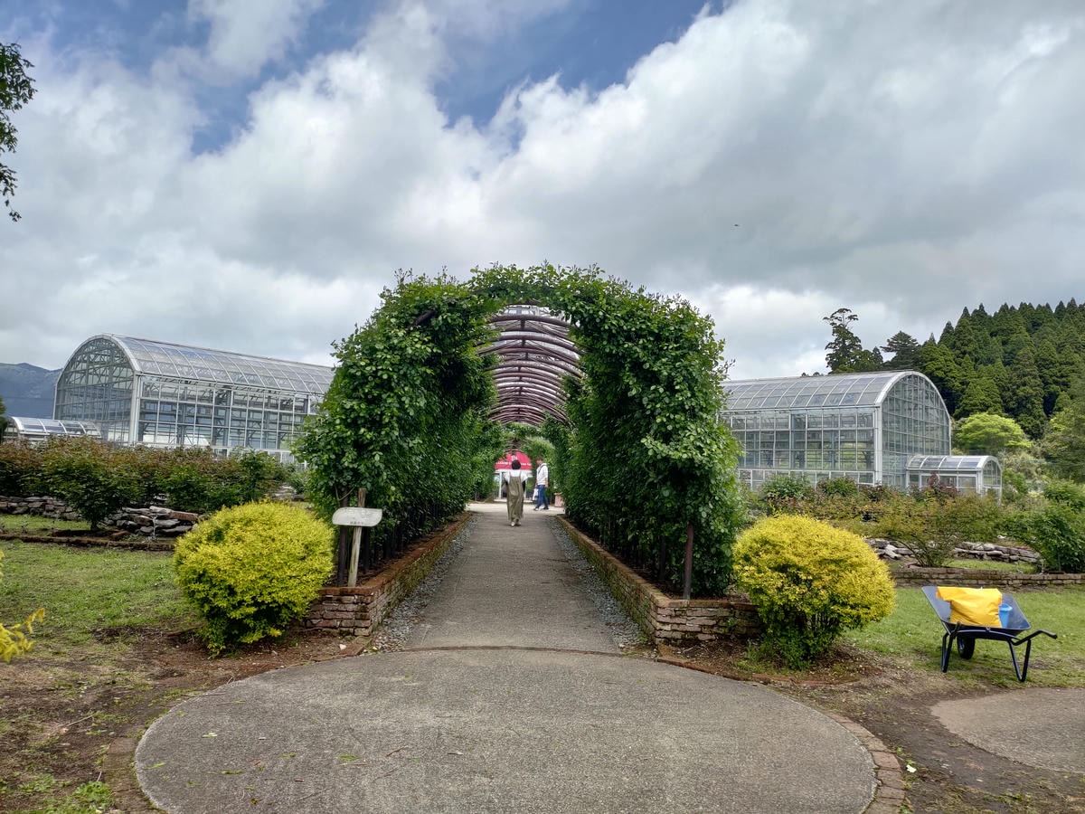 熊本阿蘇景點┃得獎阿蘇鮮奶「阿部牧場」觀光工廠奶製品伴手禮走5分「阿蘇廣場飯店」(Aso Plaza Hotel) 免費接駁車 - 第32張圖 熊本阿蘇景點┃得獎阿蘇鮮奶「阿部牧場」觀光工廠奶製品伴手禮走5分「阿蘇廣場飯店」(Aso Plaza Hotel) 免費接駁車