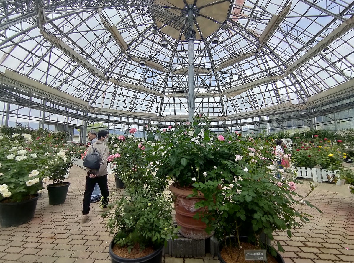 熊本阿蘇景點┃得獎阿蘇鮮奶「阿部牧場」觀光工廠奶製品伴手禮走5分「阿蘇廣場飯店」(Aso Plaza Hotel) 免費接駁車 - 第33張圖 熊本阿蘇景點┃得獎阿蘇鮮奶「阿部牧場」觀光工廠奶製品伴手禮走5分「阿蘇廣場飯店」(Aso Plaza Hotel) 免費接駁車