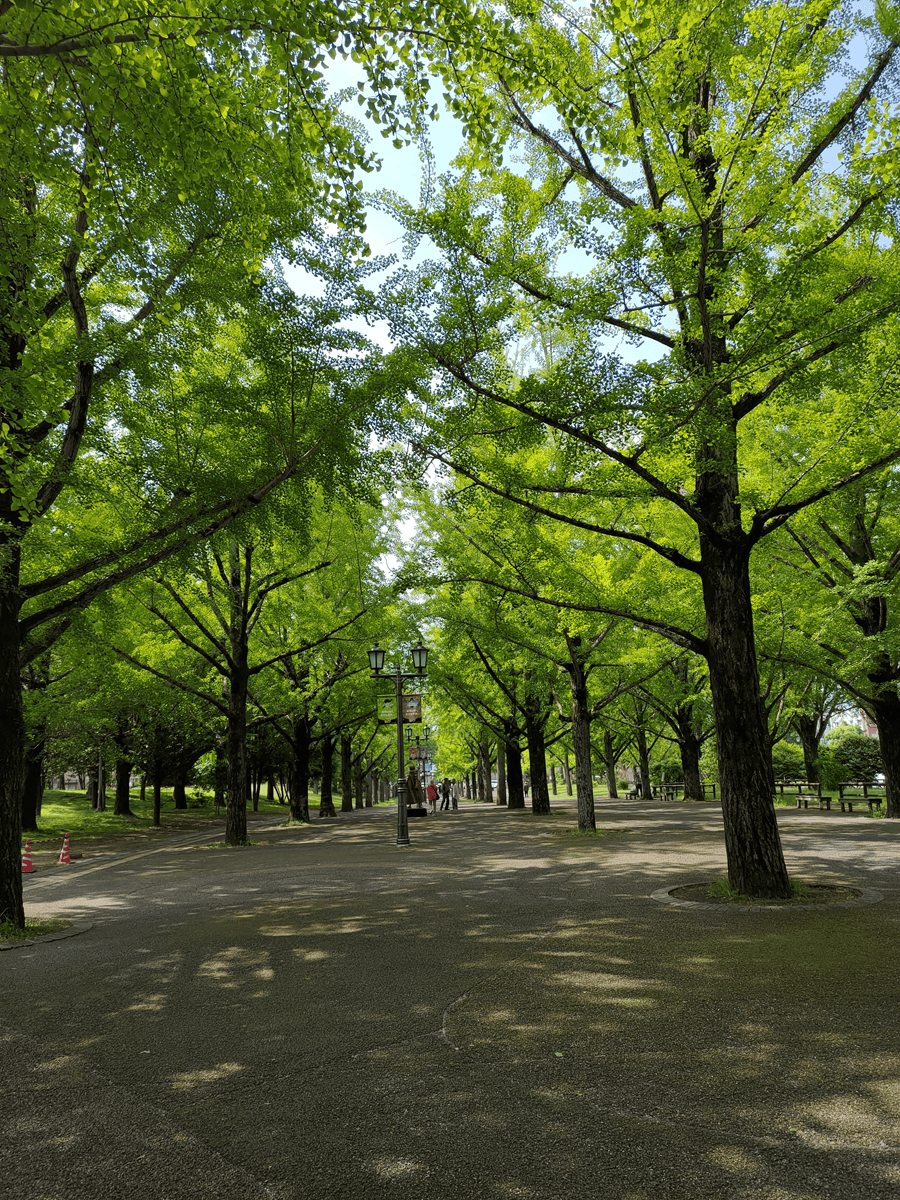 熊本景點┃草帽海賊團10座銅像捕獲 熊本自由行海賊迷 高森佛朗基縣廳魯夫 萌之里娜美 索隆喬巴香吉士 布魯克騙人布