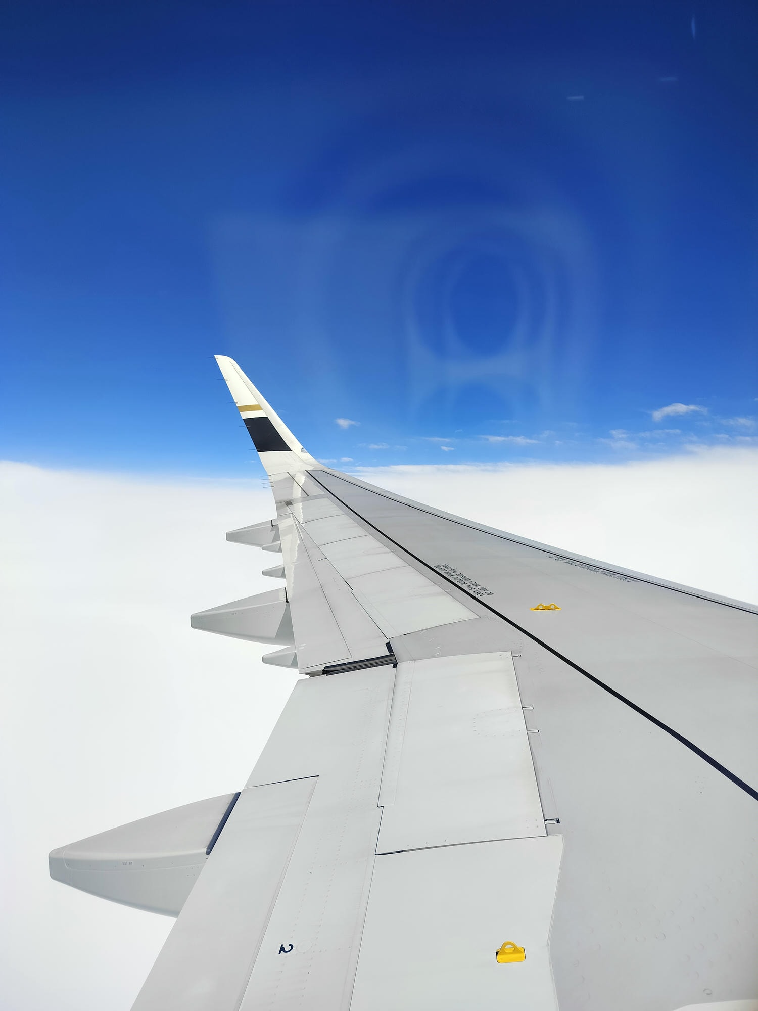 星宇航空┃ STARLUX Airlines星宇飛行記錄 星宇直飛熊本 德島 關西 名古屋 機上餐調酒圖多スターラックス航空