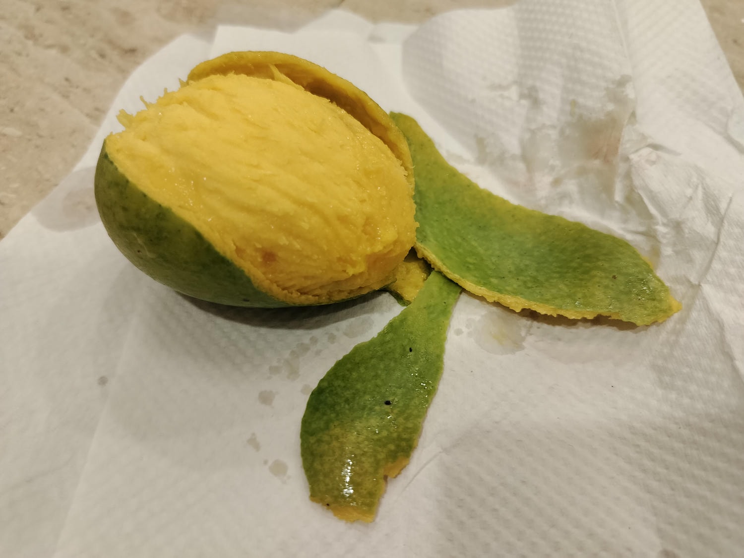 台湾不思議な街風景┃街路のマンゴー樹  落ちたマンゴーが頭に当たるぞ 人行道防芒果掉落打頭全剪掉 土芒果超甜