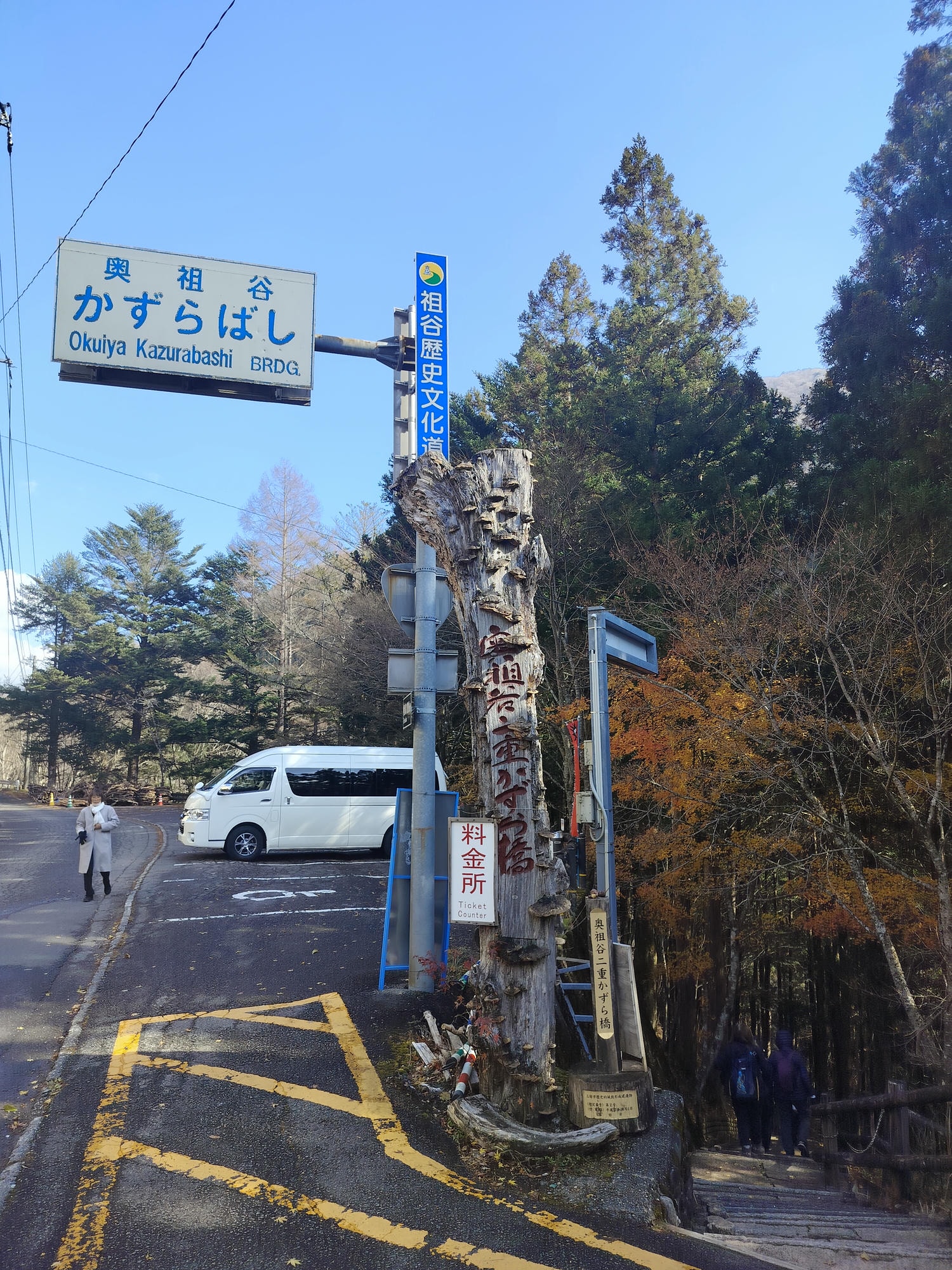 德島景點┃德島自由行 秘境奧祖谷賞楓 自駕景點整理「二重葛藤橋 落合集落 天空稻草人村 尿尿小童 龍宮崖公園」