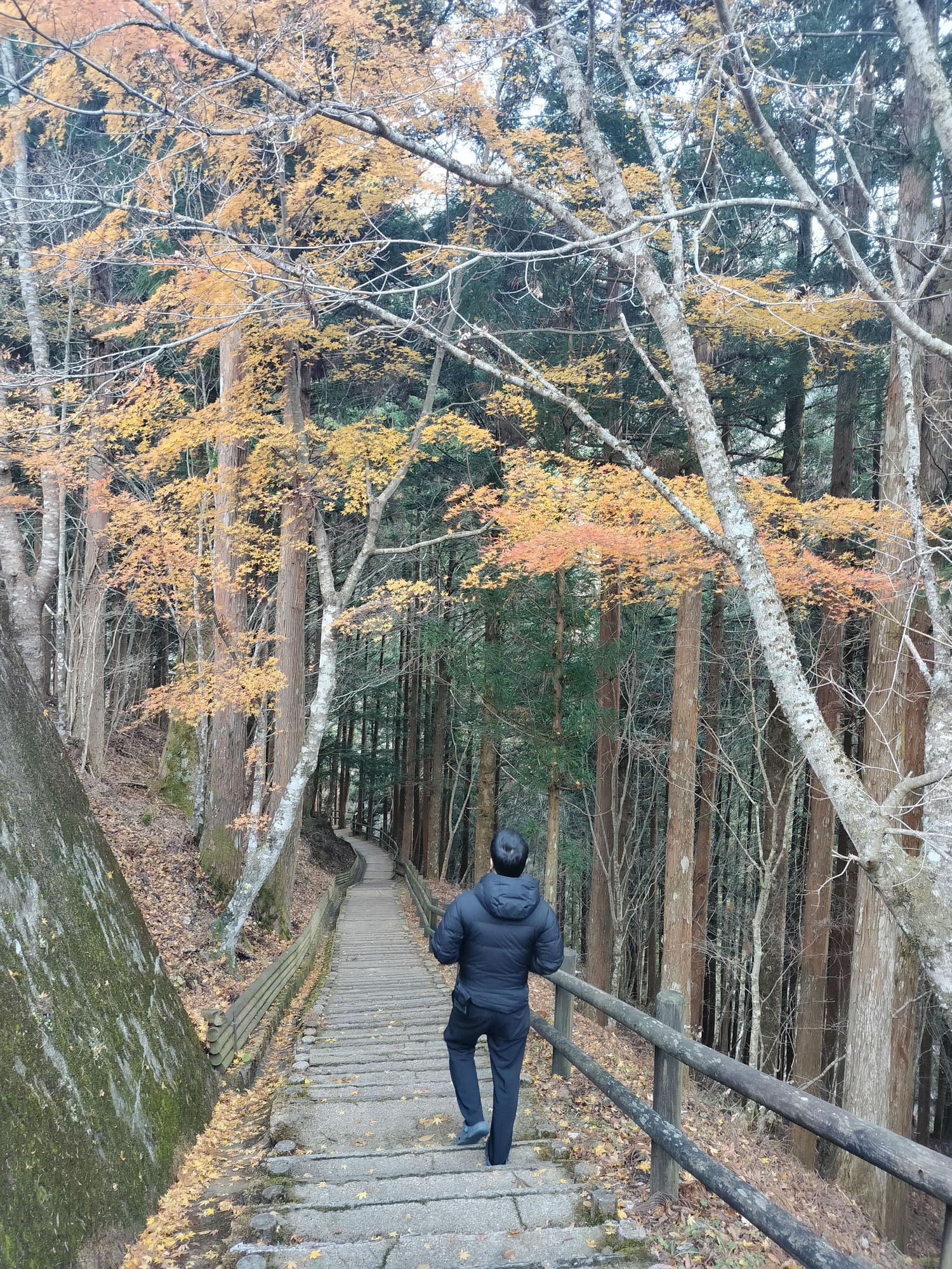 德島景點┃德島自由行 秘境奧祖谷賞楓 自駕景點整理「二重葛藤橋 落合集落 天空稻草人村 尿尿小童 龍宮崖公園」