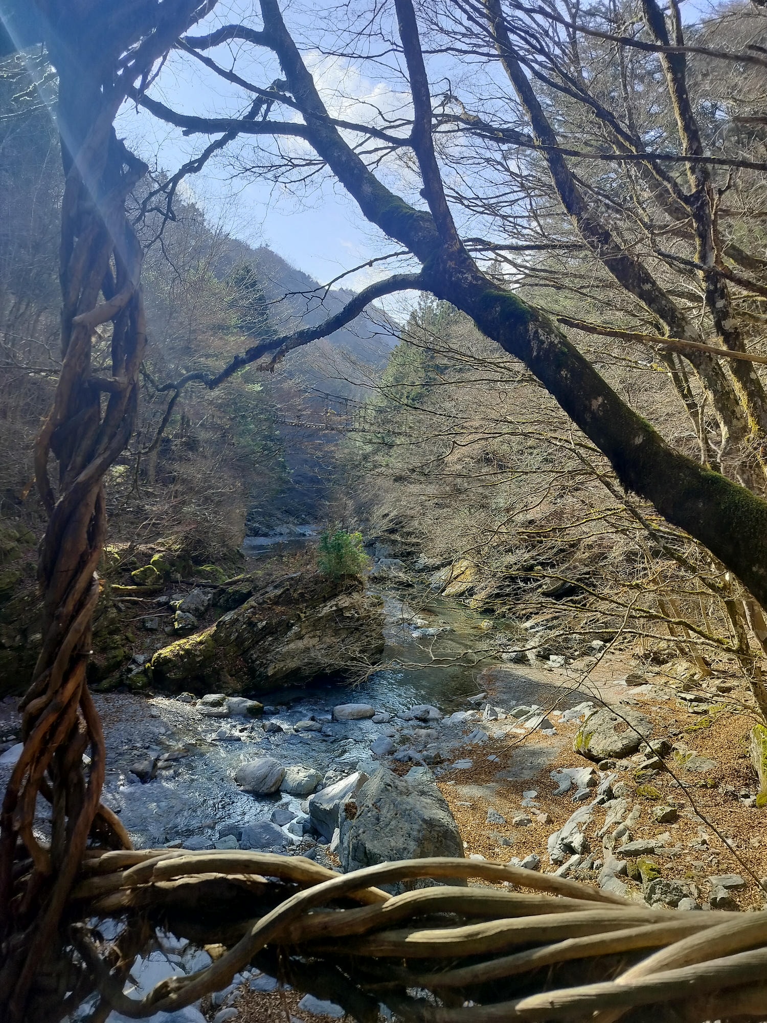 德島景點┃德島自由行 秘境奧祖谷賞楓 自駕景點整理「二重葛藤橋 落合集落 天空稻草人村 尿尿小童 龍宮崖公園」