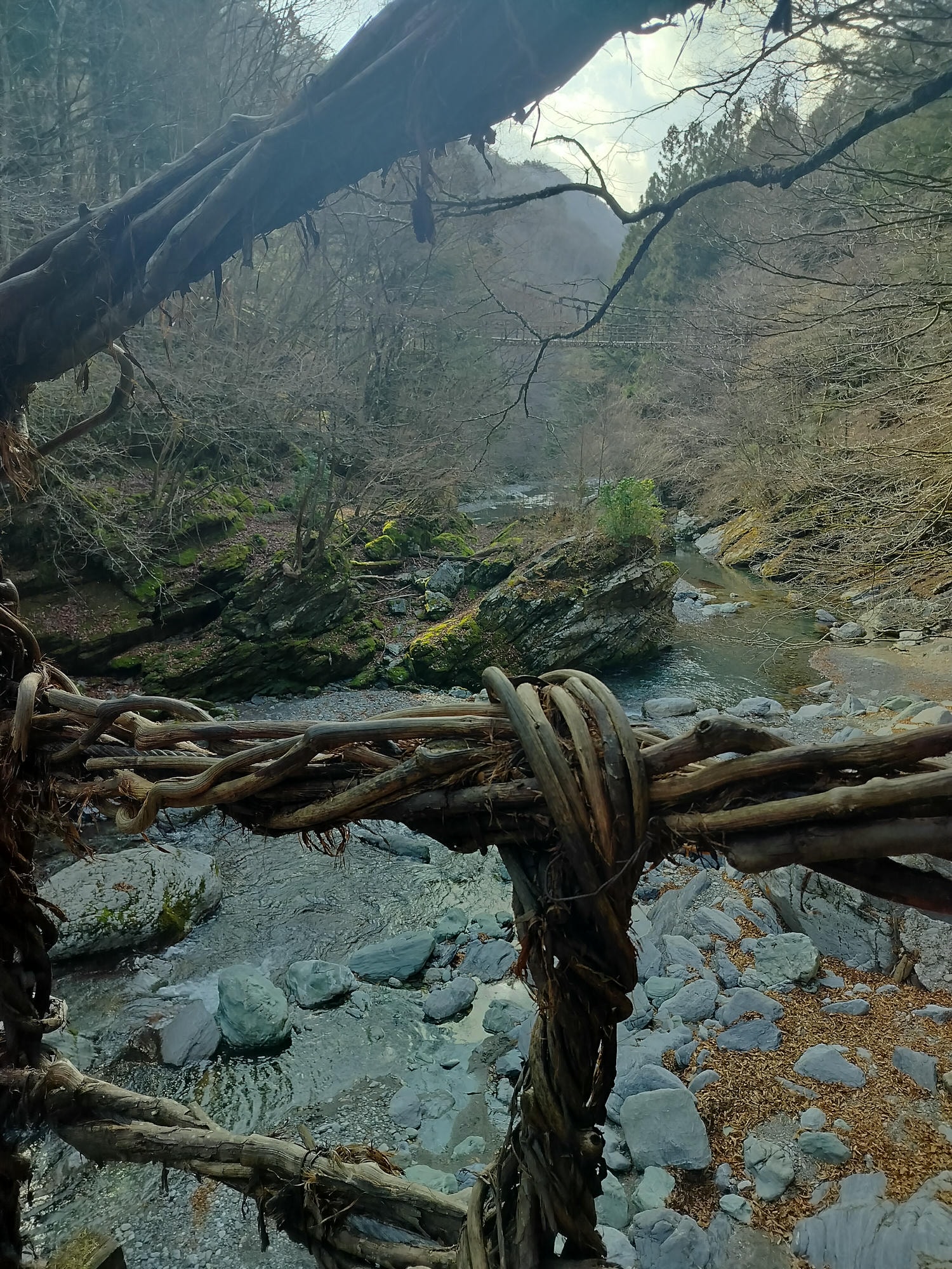 德島景點┃德島自由行 秘境奧祖谷賞楓 自駕景點整理「二重葛藤橋 落合集落 天空稻草人村 尿尿小童 龍宮崖公園」