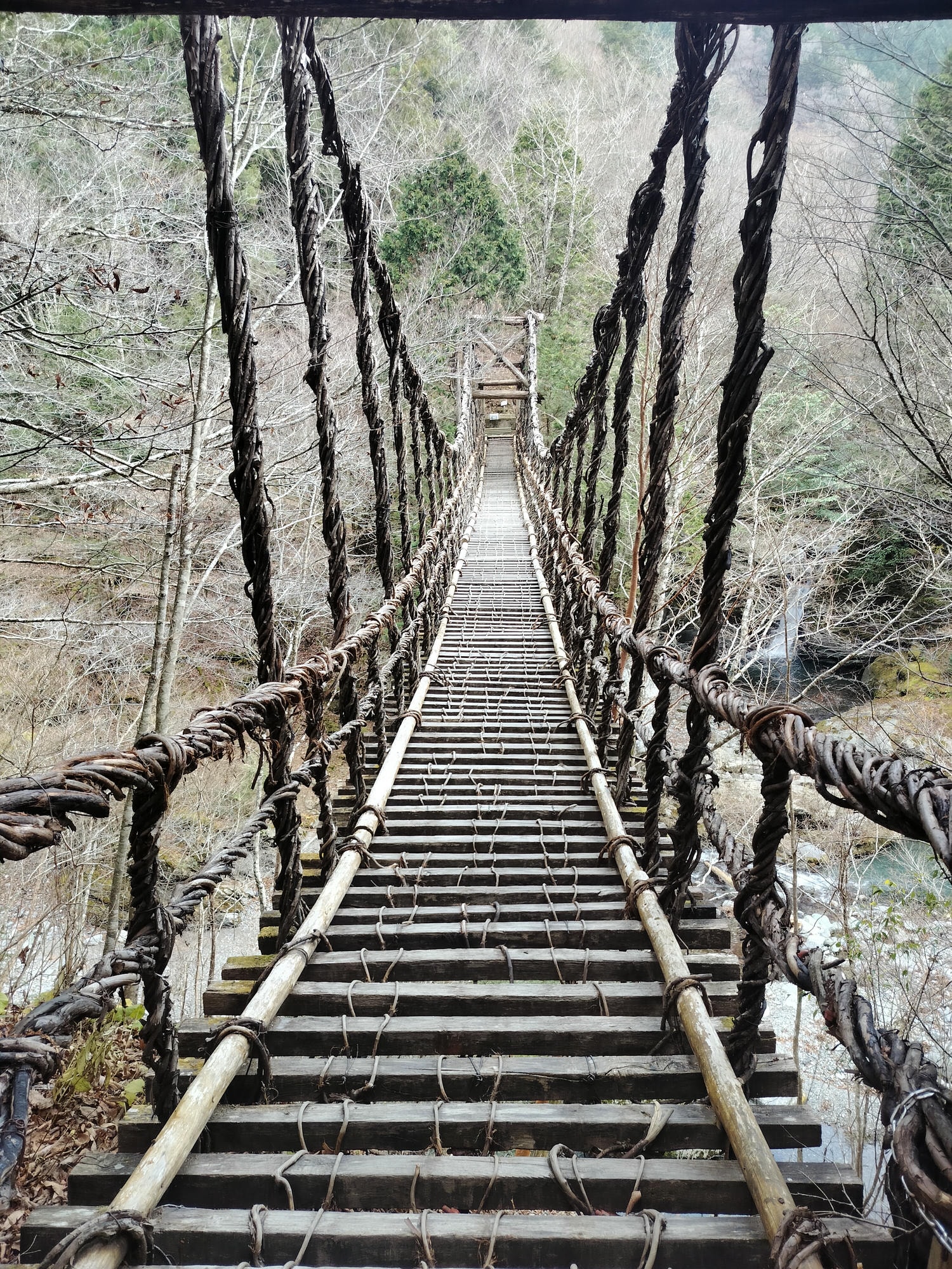 德島景點┃德島自由行 秘境奧祖谷賞楓 自駕景點整理「二重葛藤橋 落合集落 天空稻草人村 尿尿小童 龍宮崖公園」