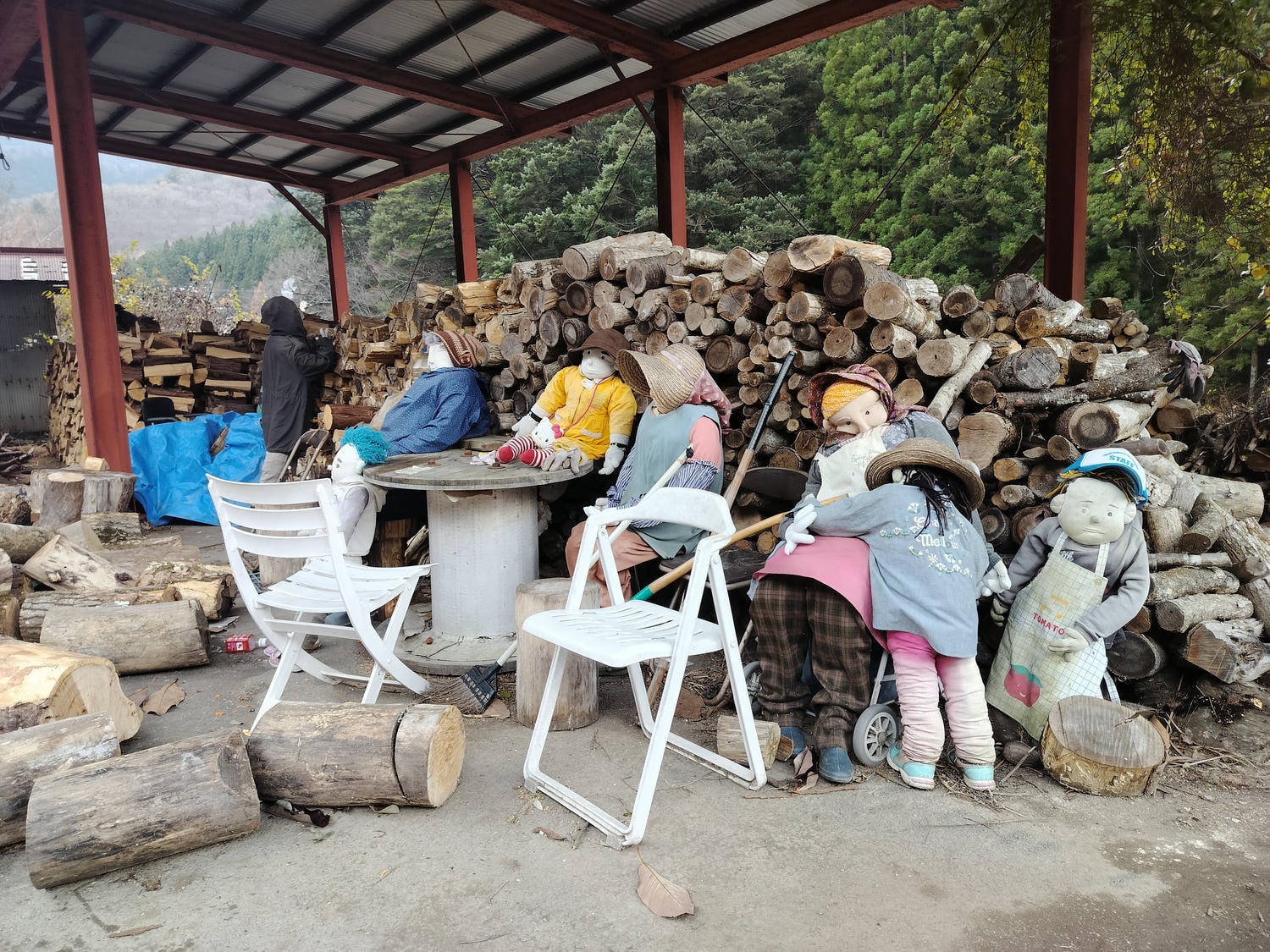 德島景點┃德島自由行 秘境奧祖谷賞楓 自駕景點整理「二重葛藤橋 落合集落 天空稻草人村 尿尿小童 龍宮崖公園」