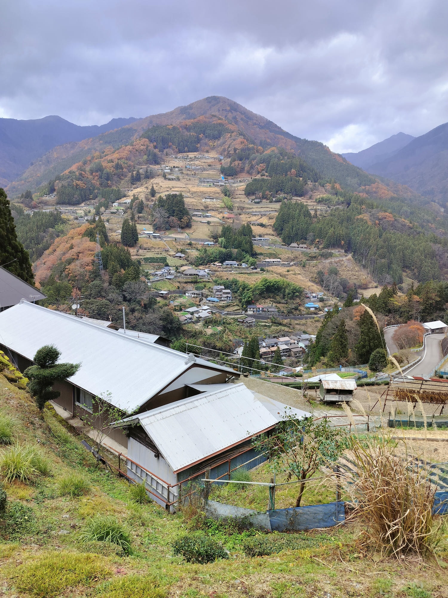 德島景點┃德島自由行 秘境奧祖谷賞楓 自駕景點整理「二重葛藤橋 落合集落 天空稻草人村 尿尿小童 龍宮崖公園」