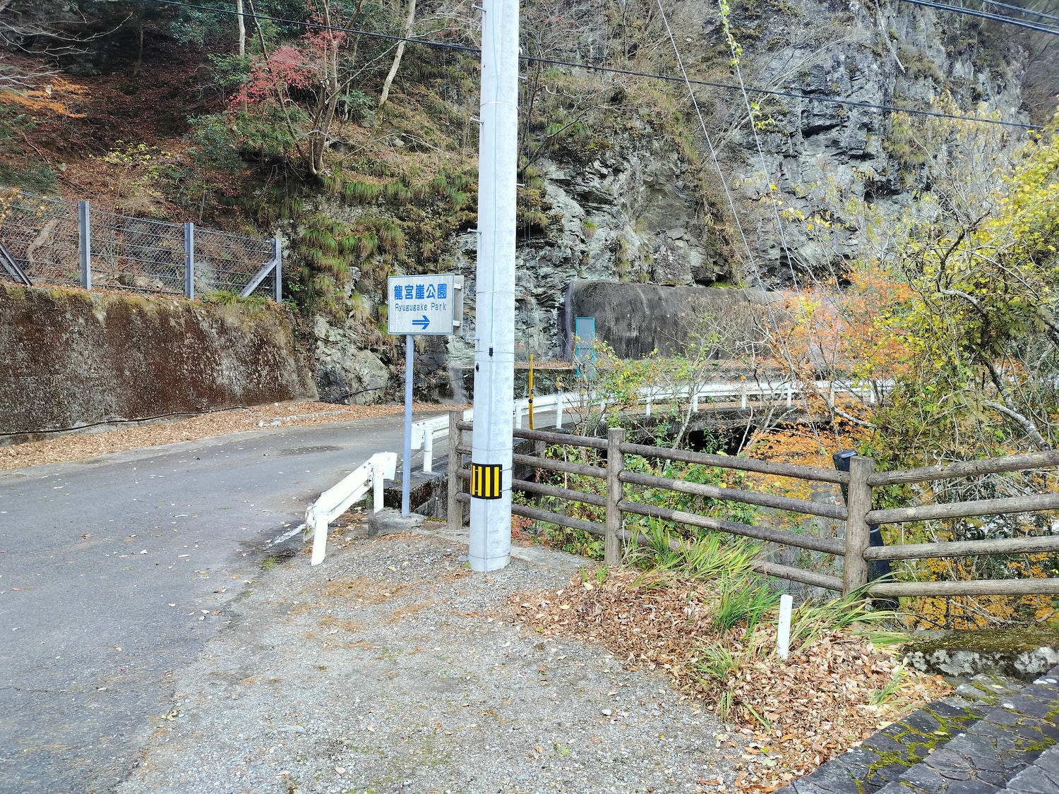 德島景點┃德島自由行 秘境奧祖谷賞楓 自駕景點整理「二重葛藤橋 落合集落 天空稻草人村 尿尿小童 龍宮崖公園」