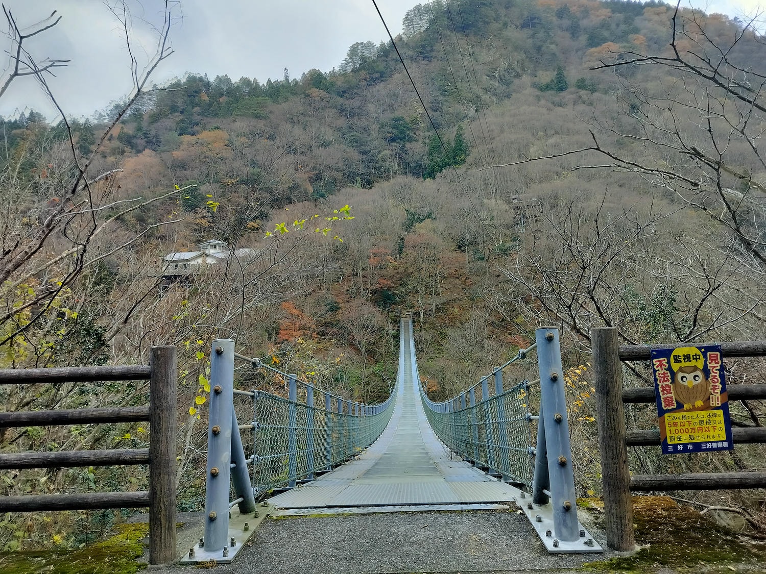 德島景點┃德島自由行 秘境奧祖谷賞楓 自駕景點整理「二重葛藤橋 落合集落 天空稻草人村 尿尿小童 龍宮崖公園」