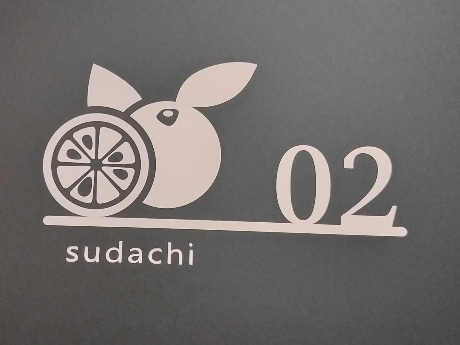 德島住宿┃JR四國直營「4S Stay」系列 古民家包棟 古民家和室旅館 文青洋室旅宿 德島JR阿波池田站 藥粧超市餐廳