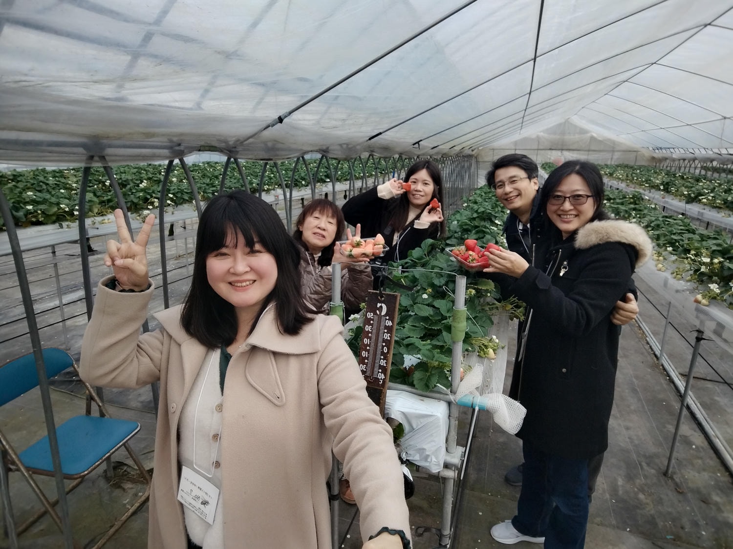 2024四國酒祭┃四縣百款酒 四國最大酒祭套票3千日幣不限時不限杯 德島自由行JR阿波池田站接駁車 JR江口站採草莓 - 第56張圖 2024四國酒祭┃四縣百款酒 四國最大酒祭套票3千日幣不限時不限杯 德島自由行JR阿波池田站接駁車 JR江口站採草莓